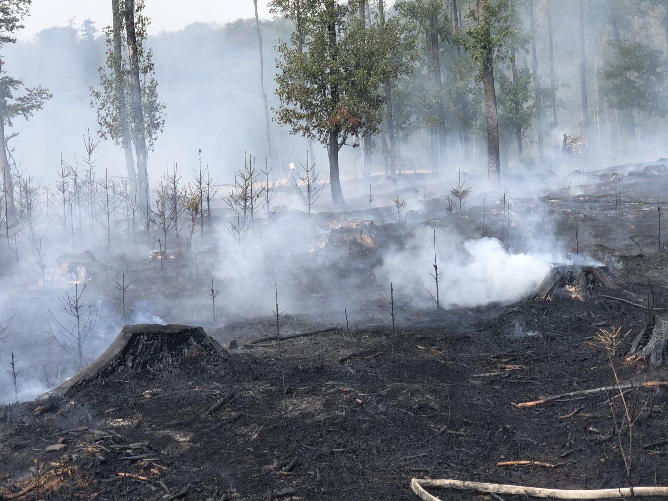 U Dolan na Olomoucku hoří hektar lesa - 13 - GALERIE: Požár hektaru lesa u Dolan na Olomoucku (1/13)