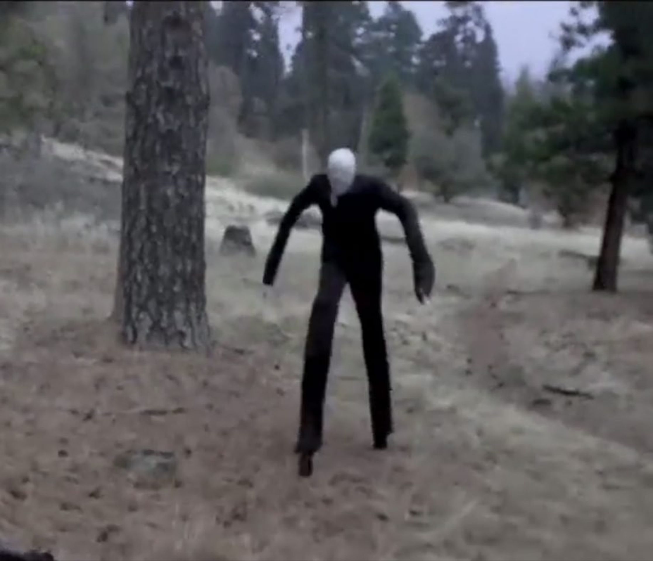 Slenderman - GALERIE: Děsivé hry na internetu (2/3)