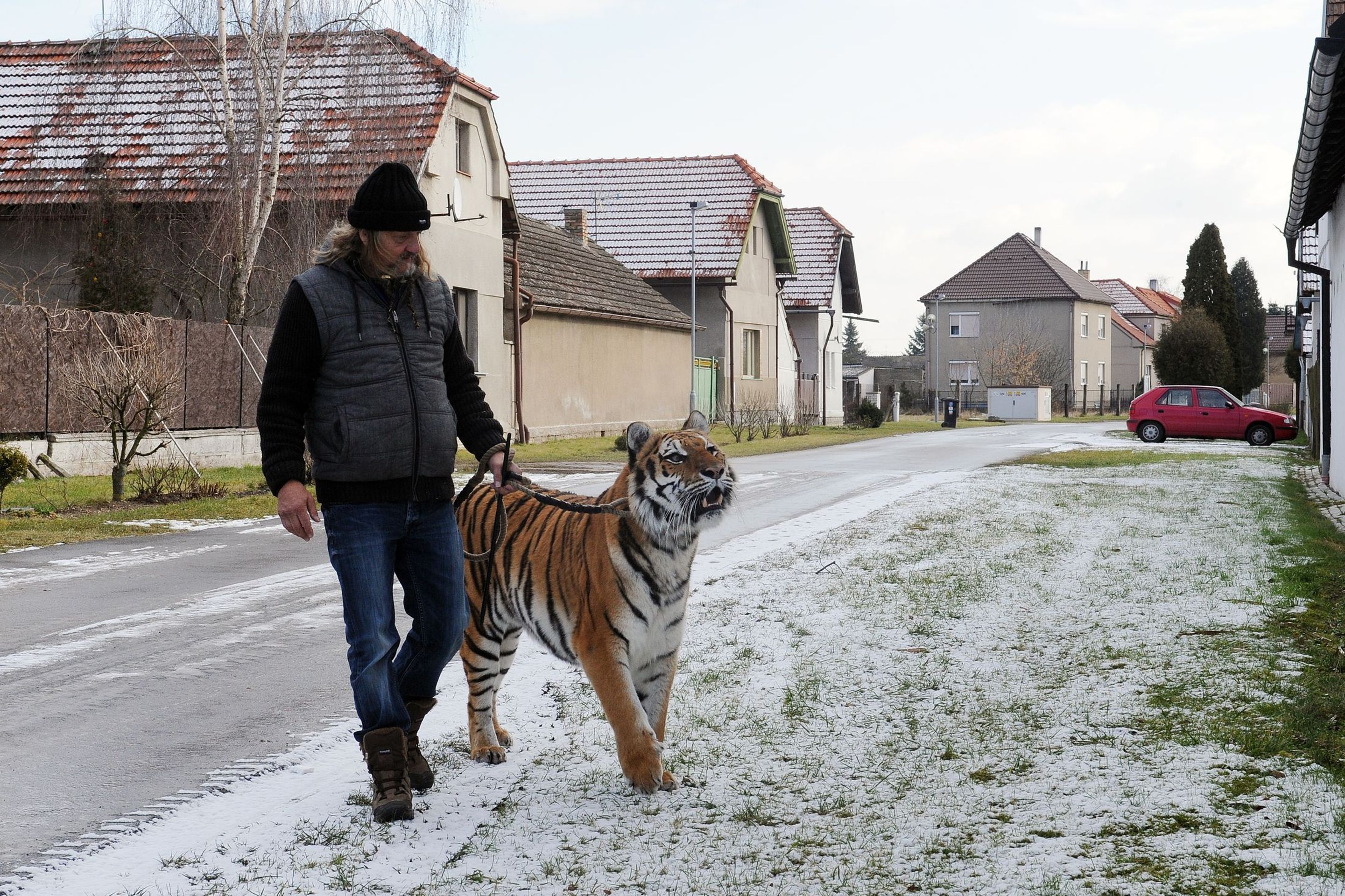 Cirkus Jo - Joo v zimě - 19 - GALERIE: Na zimovišti cirkusus Jo - Joo (18/23)