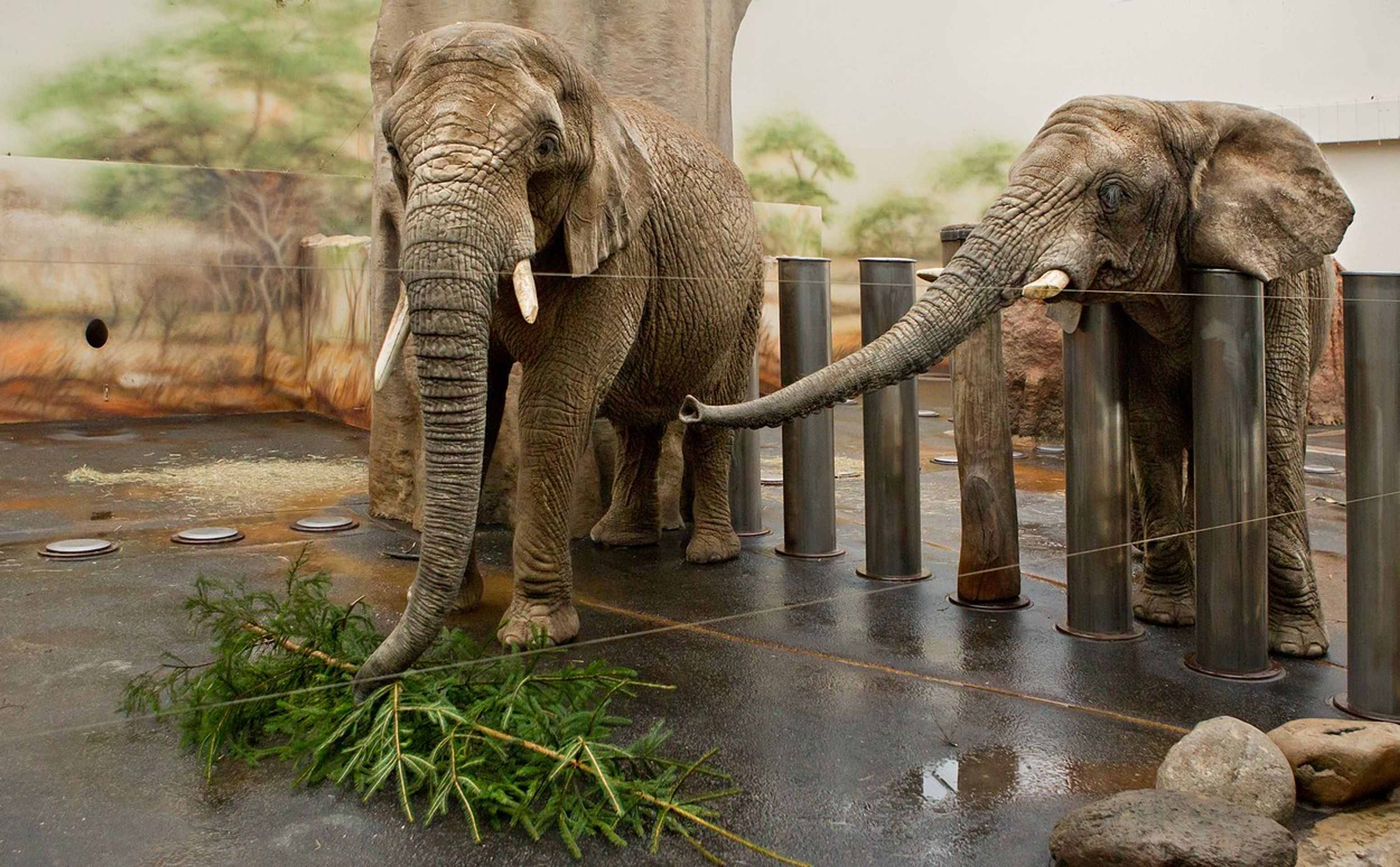 ZOO Dvůr Králové nad Labem - GALERIE: Turistické cíle (8/10)