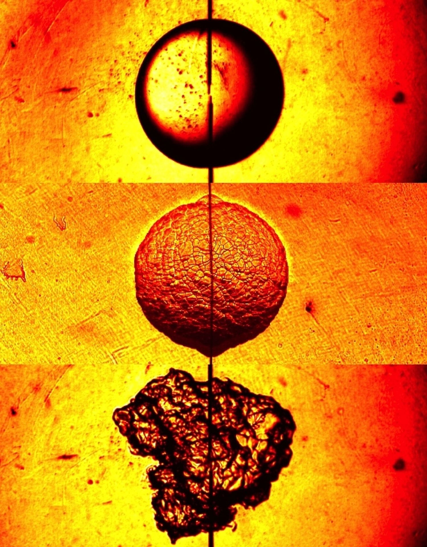 Nejzajímavější fotky roku 2013 - 18 - GALERIE: Nejzajímavější fotky roku 2013 (5/18)
