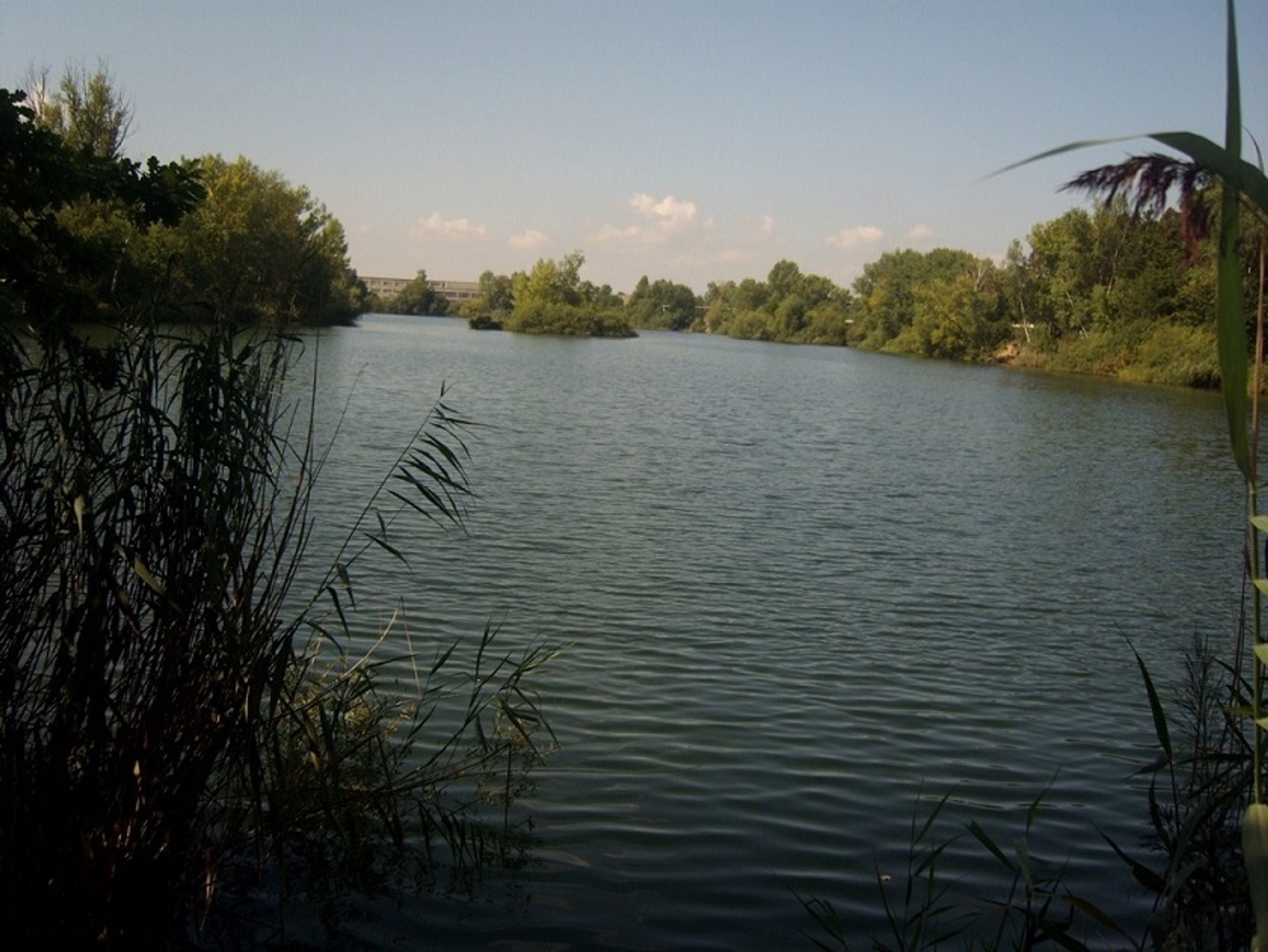 Pozemky v části obce Opatovice nad Labem (5) - Stát se zbavuje nepotřebného majetku (7/12)
