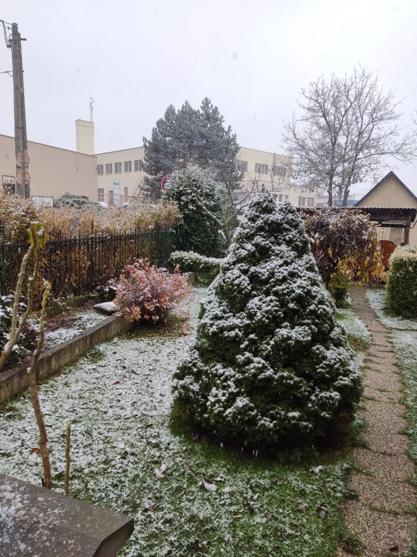 Ochlazení s sebou přineslo sníh - Do Česka dorazil sníh (12/17)
