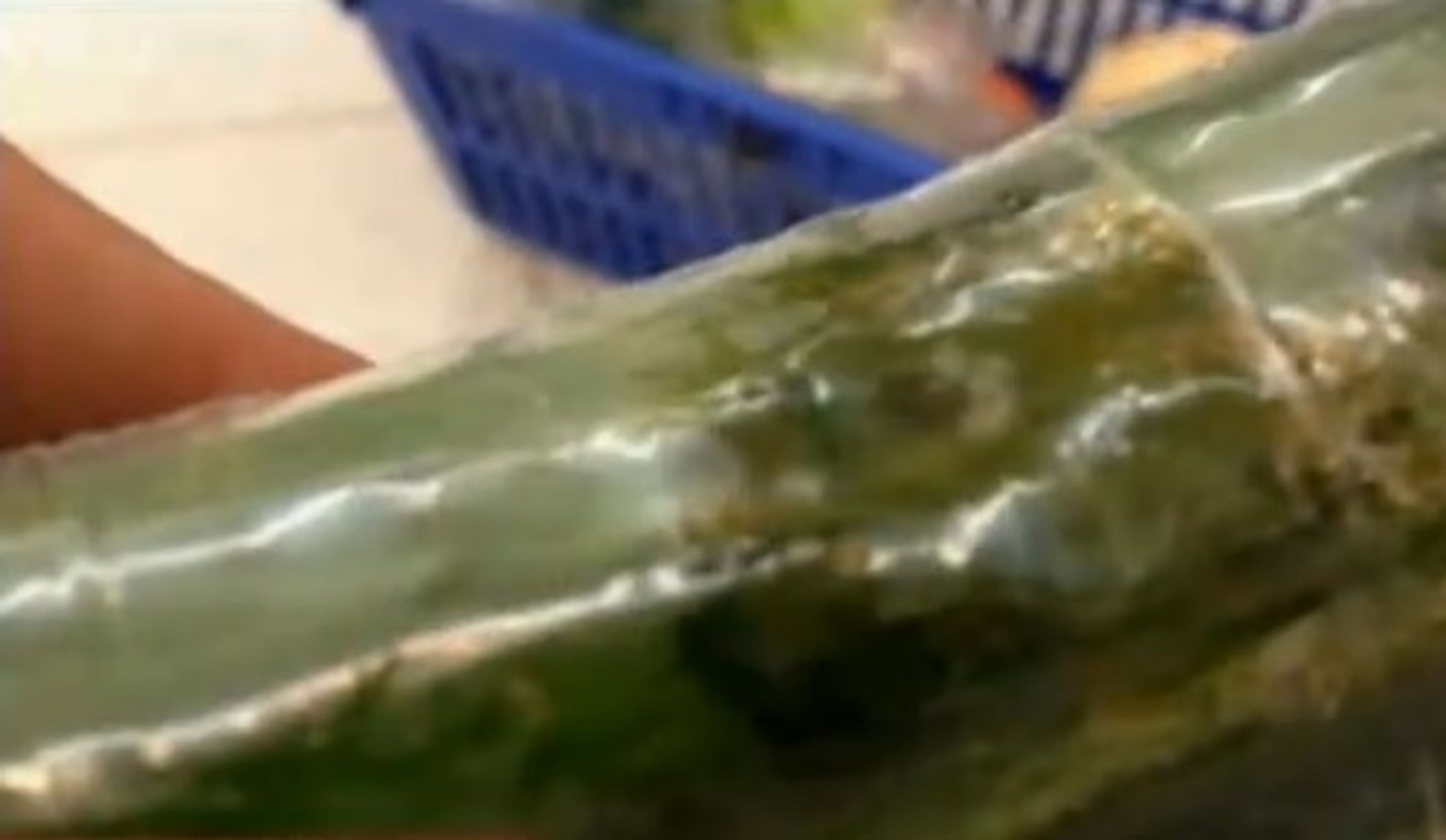 Potravinový inspektor: Tesco v Říčanech - 4 - GALERIE: Potravinový inspektor v říčanském Tescu (2/5)