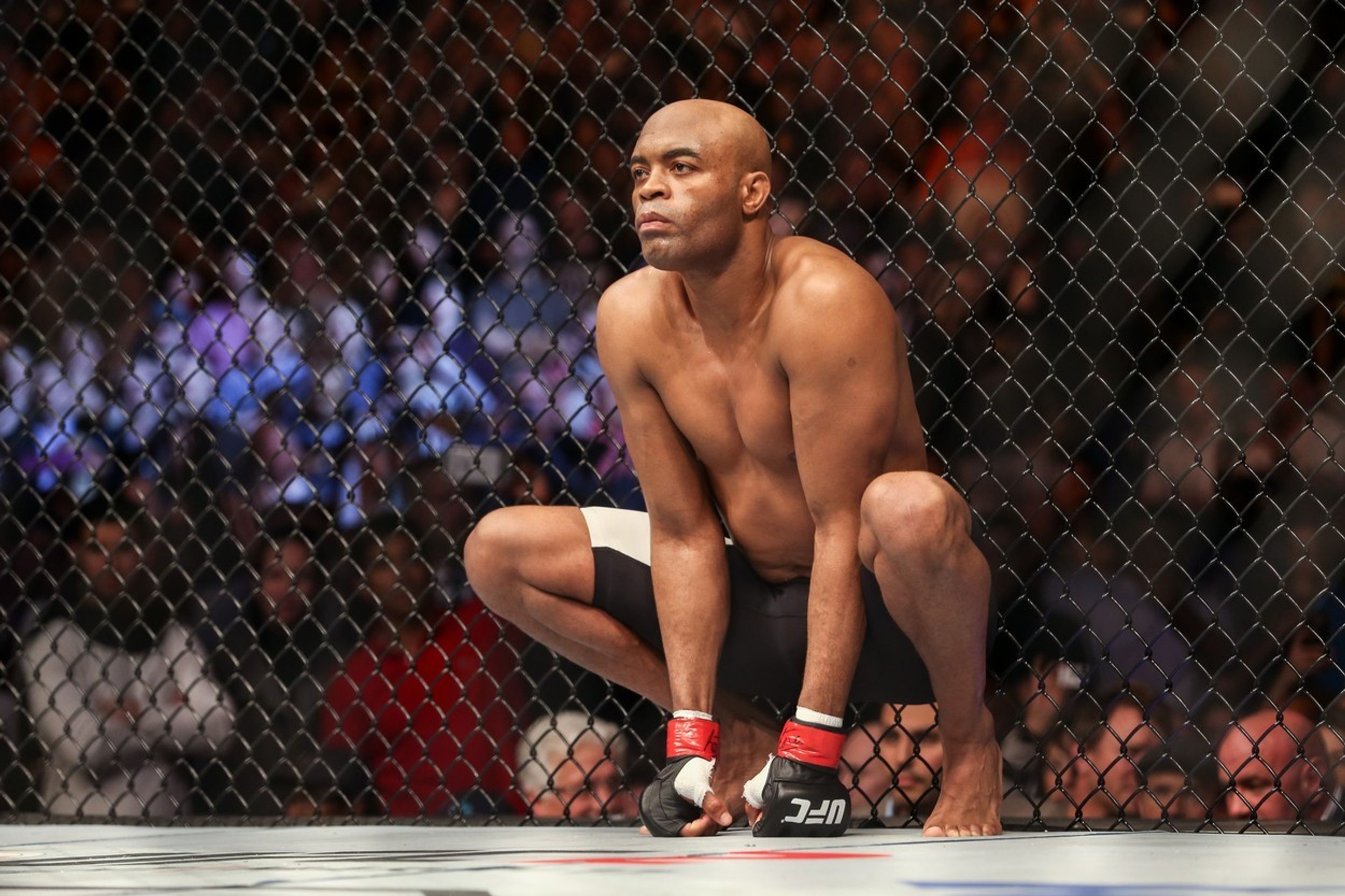 Anderson Silva vs. Michael Bisping - 9 - GALERIE: Anderson Silva vs. Michael Bisping (2/10)