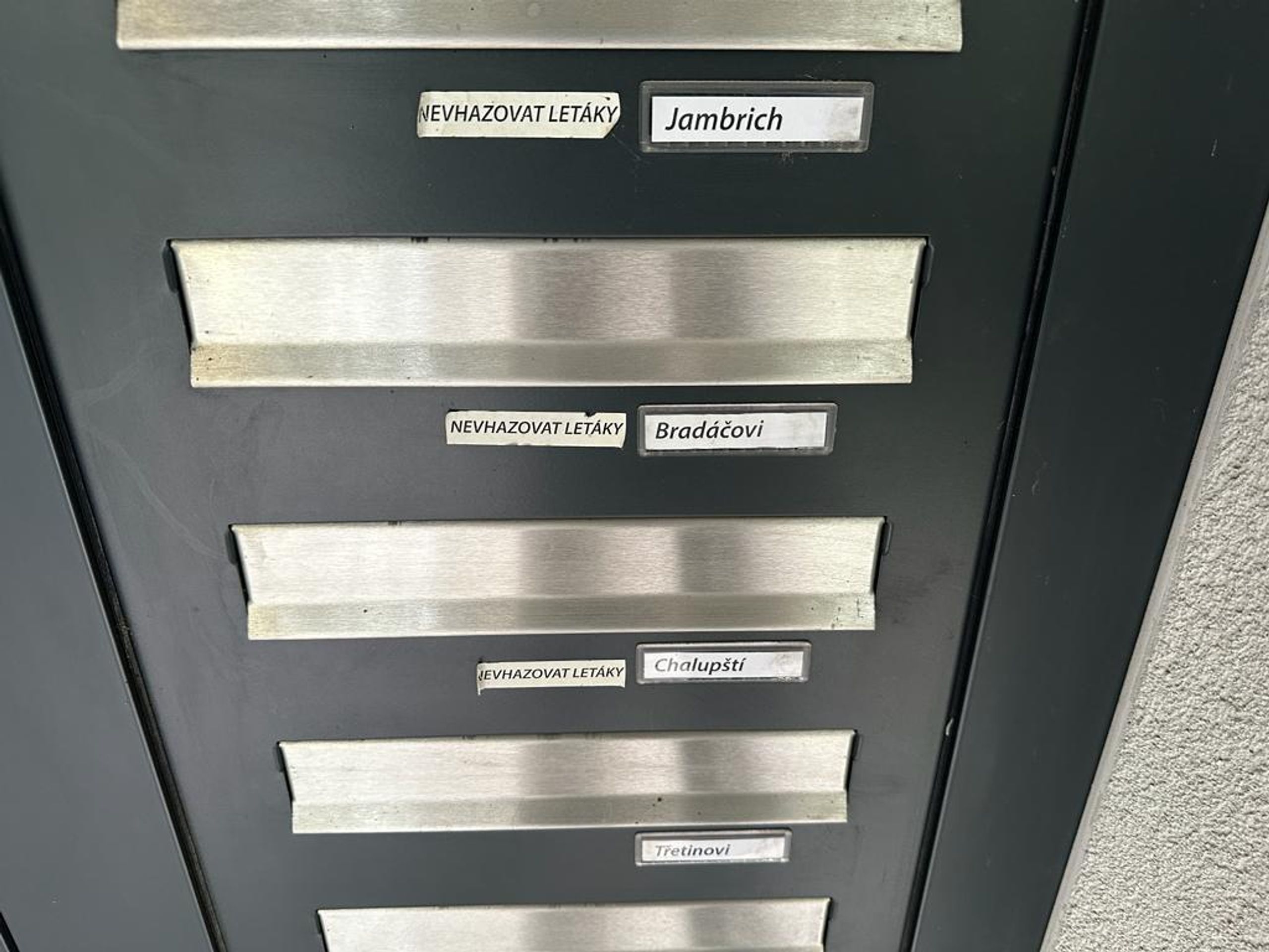 Policejní razie v Brně - Záběry z policejní razie v bytě politika Otakara Bradáče (7/7)