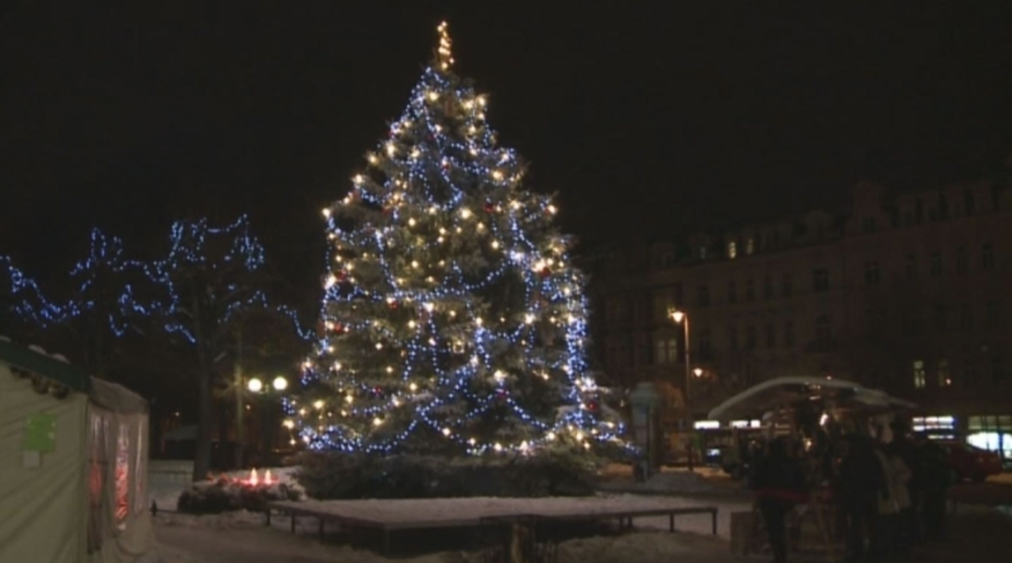 Vánoční strom Karlovy Vary - Vánoční stromy 2012 (2/14)