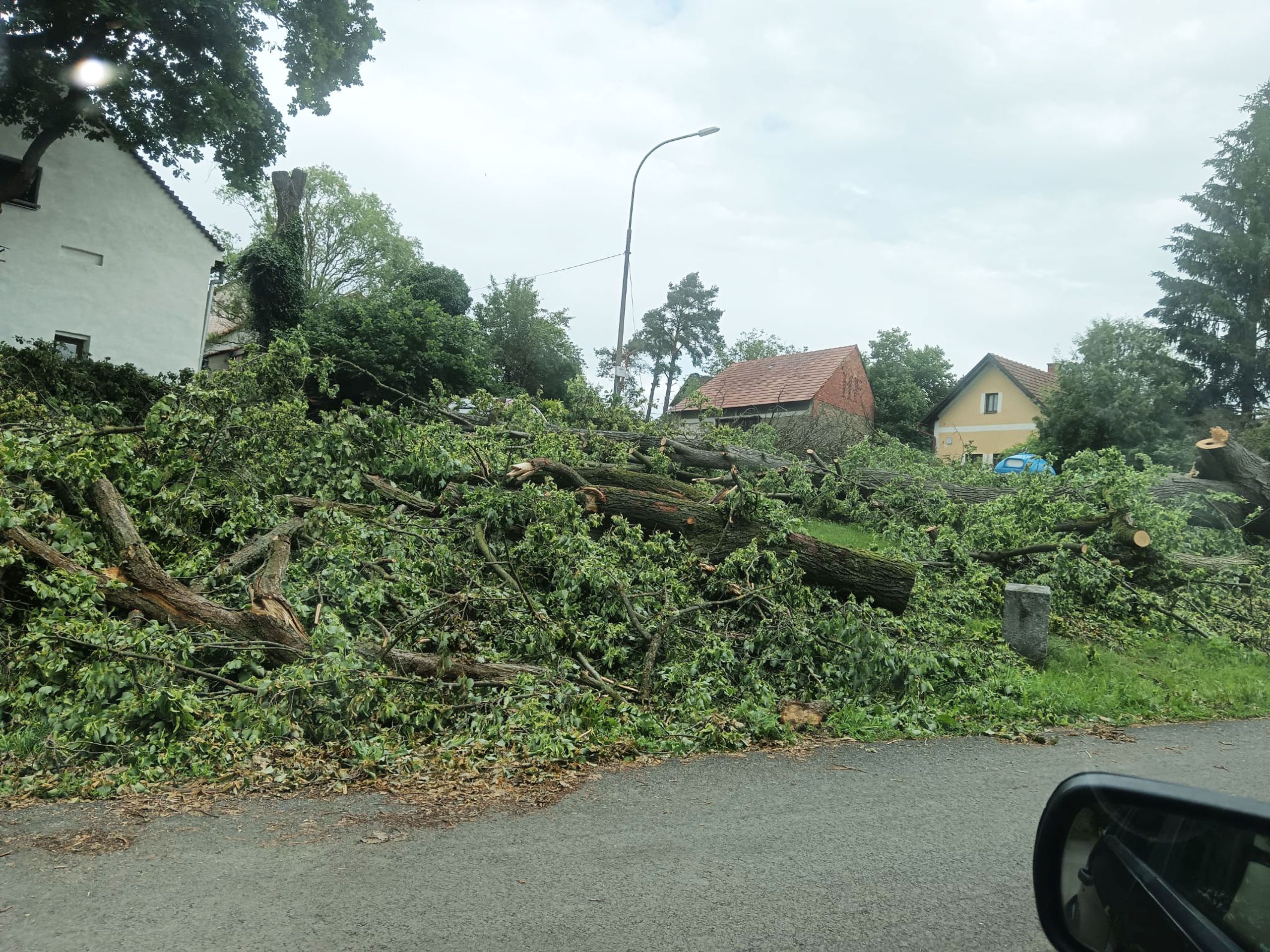 Sedlčany se vzpamatovávají z vichřice (3) - Sedlčany se vzpamatovávají z vichřice (20/38)