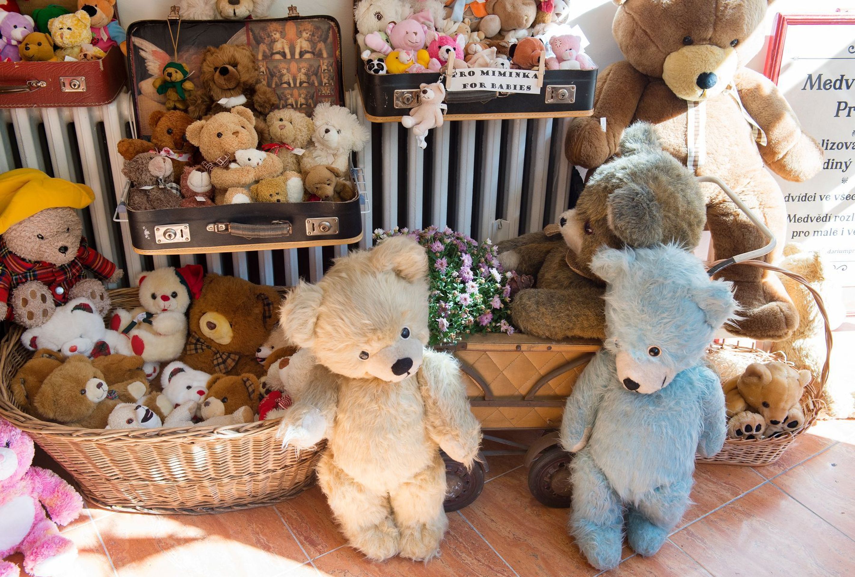 Medvědárium Praha - 13 - GALERIE: Medvědárium Praha (11/18)