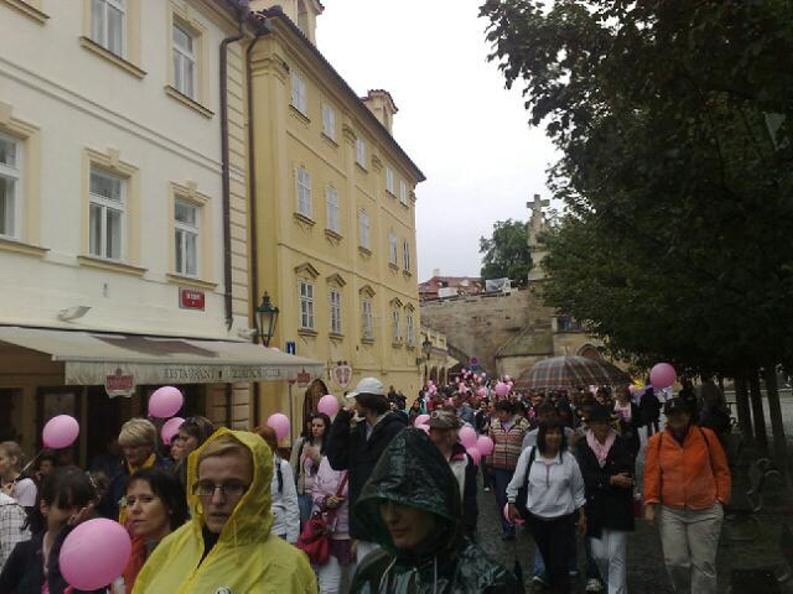 Pochod proti rakovině - FOTOGALERIE: Pochod proti rakovině (5/6)