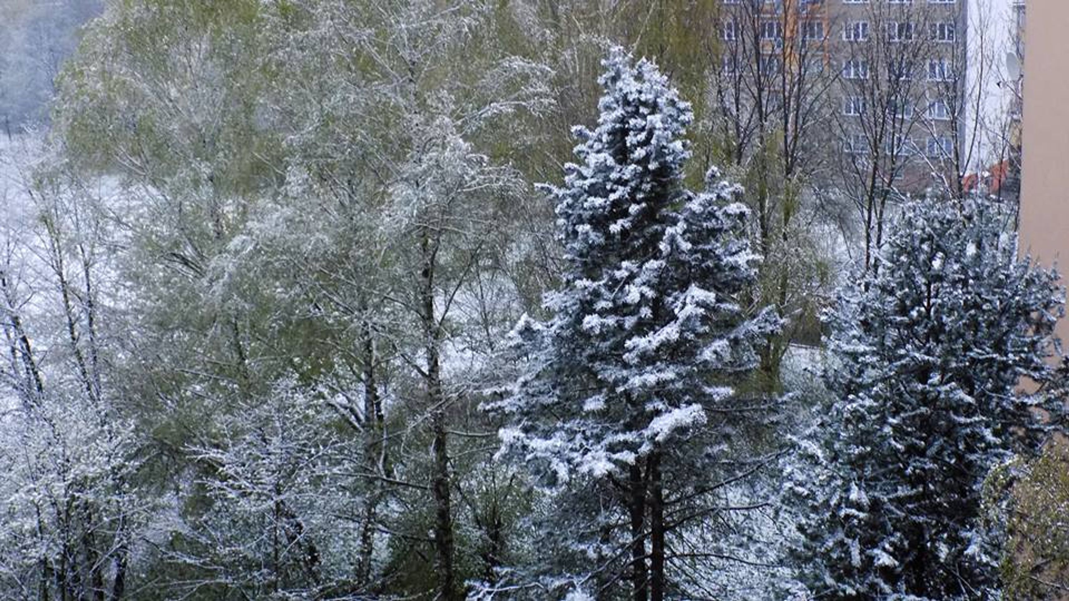 Jarní sněžení - 19. 4. 2017 - GALERIE: Jarní sněhová kalamita zasáhla východ republiky (9/21)