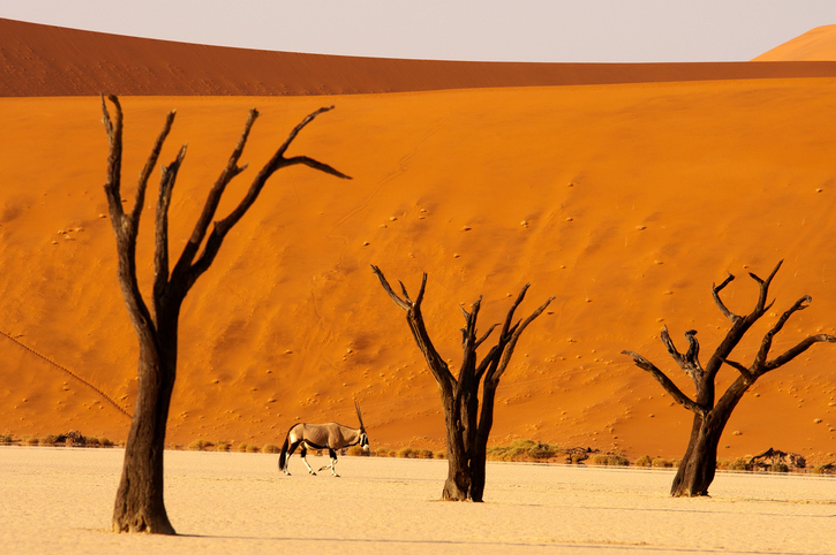 Nejkrásnější místa světa - Deadvlei, Namibie - GALERIE: Nejkrásnější místa světa (2/15)