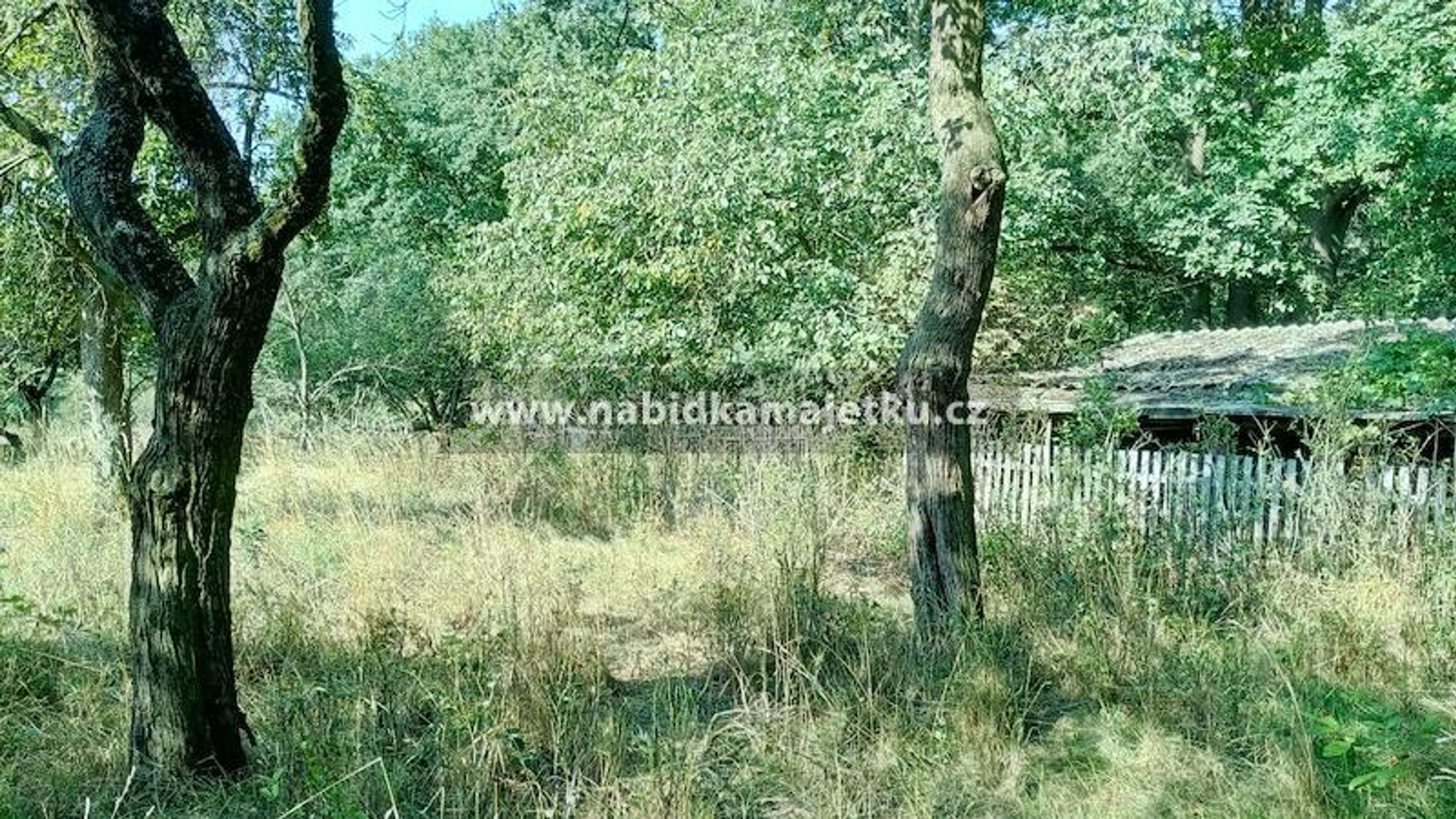 Rodinný dům - Horní Jiřetín (3) - Rodinný dům - Horní Jiřetín (4/4)