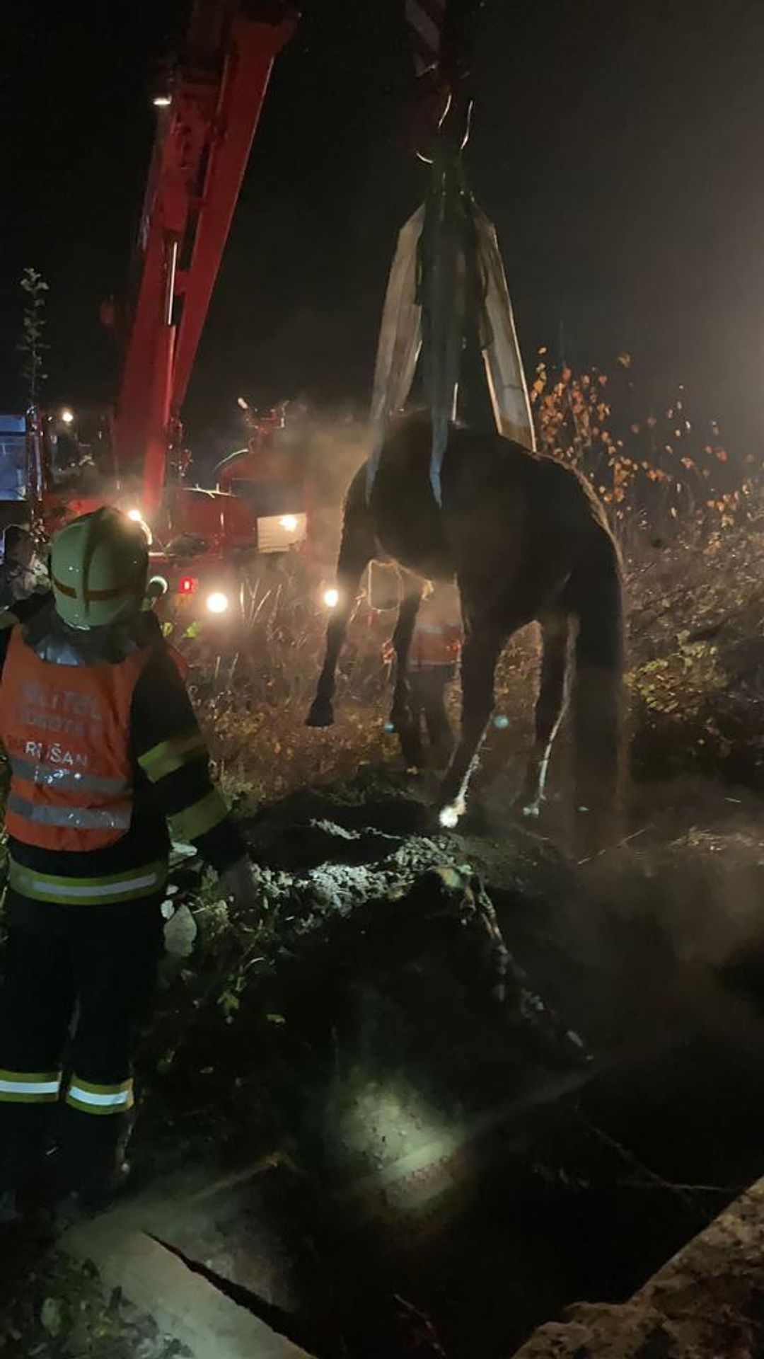 Záchrana koně z betonového koryta šachty v Hudcově (2) - Záchrana koně z betonového koryta šachty v Hudcově (2/4)