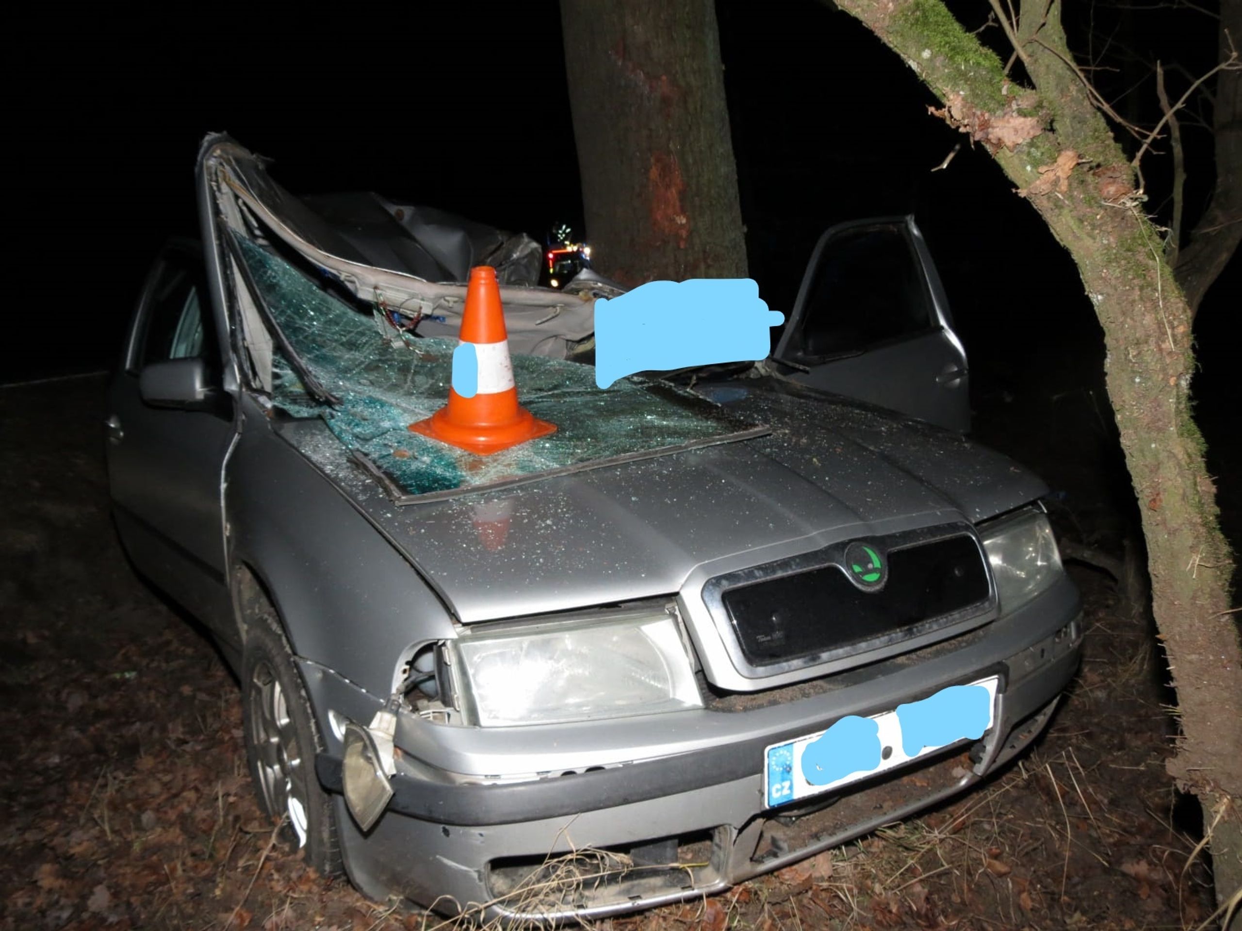Tragická nehoda u Třeboně na Jindřichohradecku - 2 - GALERIE: Tragická nehoda u Třeboně na Jindřichohradecku (4/5)