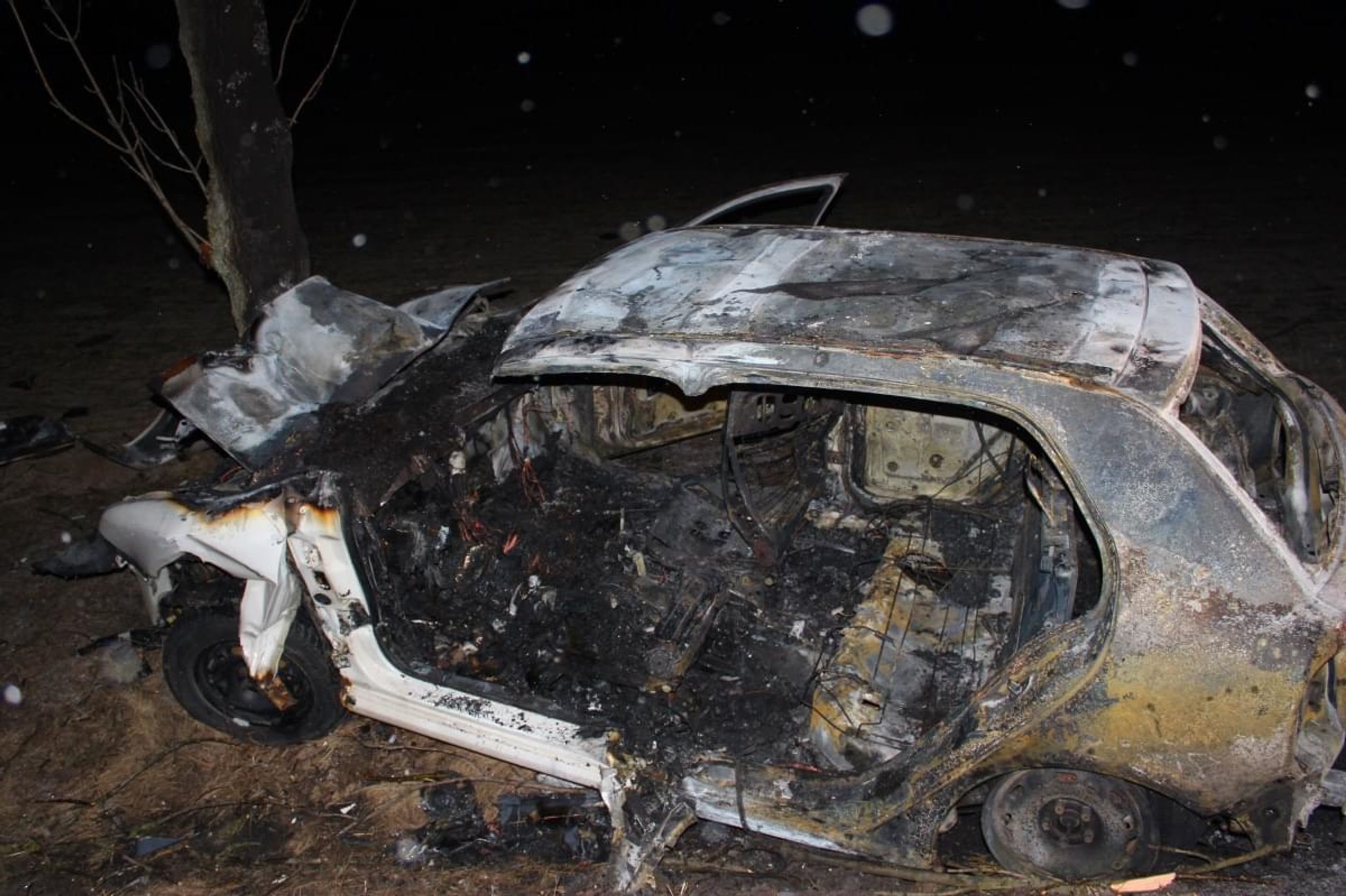 Tragická nehoda v Plzni - GALERIE: Auto plné mladých lidí narazilo do stromu (1/8)