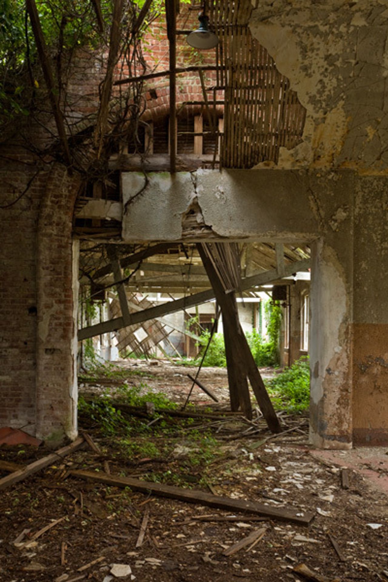 Hart Island - ostrov mrtvých - 20 - Galerie: Hart Island - ostrov mrtvých (5/24)