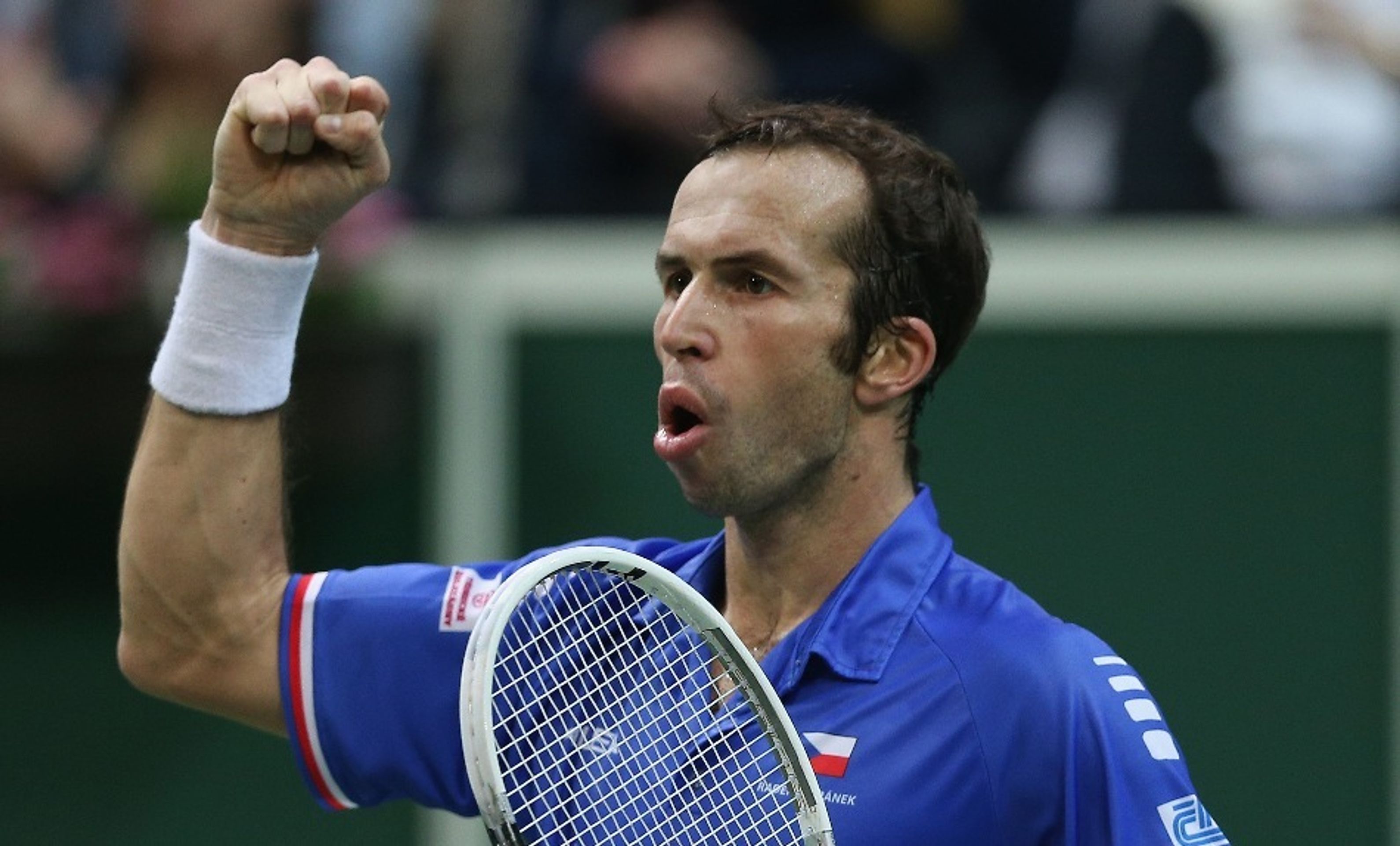 Radek Štěpánek vs. Nicolas Almagro - 5 - GALERIE: Radek Štěpánek vs. Nicolas Almagro (8/12)