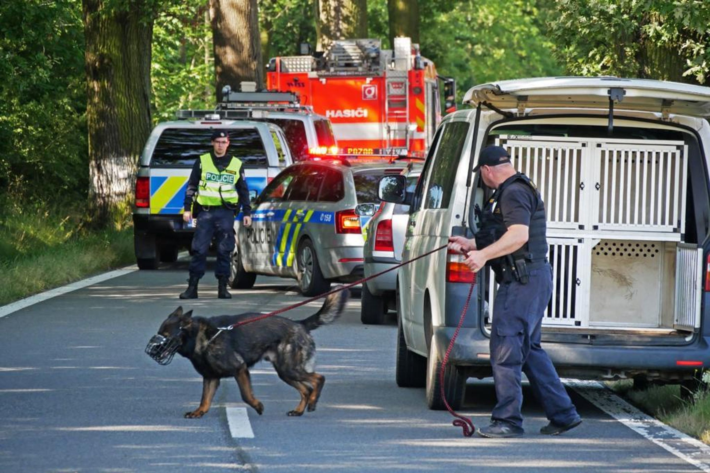 Tragická nehoda na Bruntálsku, zemřel 23letý mladík - 3 - GALERIE: Na Bruntálsku vyhasl mladý život (4/6)