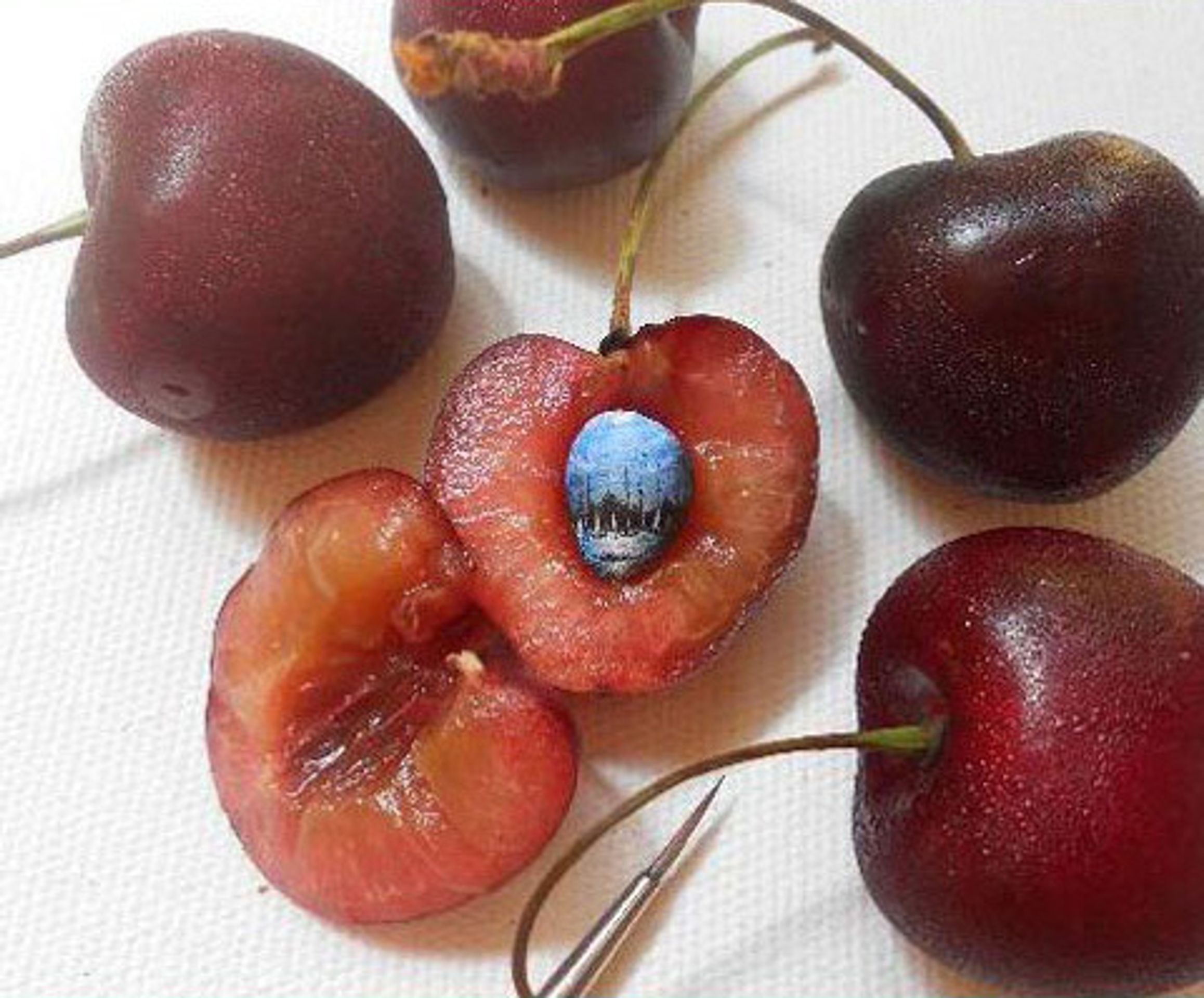 Miniatury - GALERIE: Miniaturní obrázky (6/11)