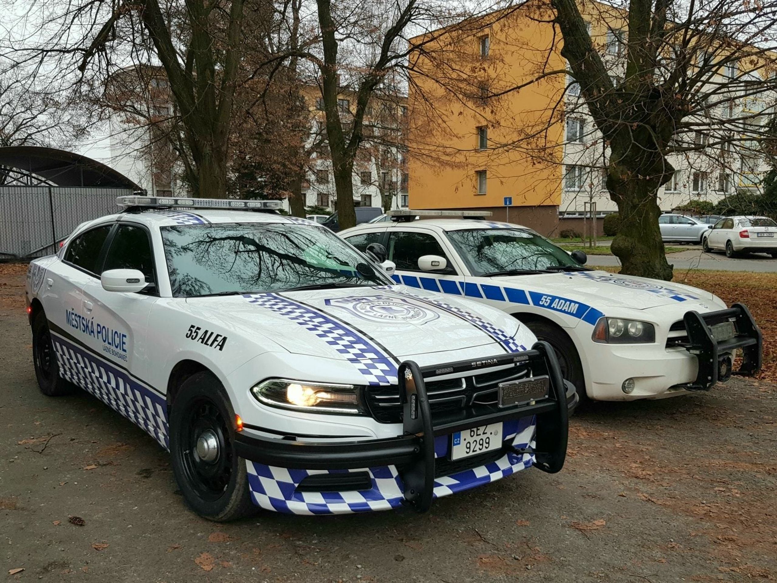 Vozový park strážníků z Bohdanče - 21 - Fotogalerie: Unikátní americký vozový park strážníků z Bohdanče (2/13)