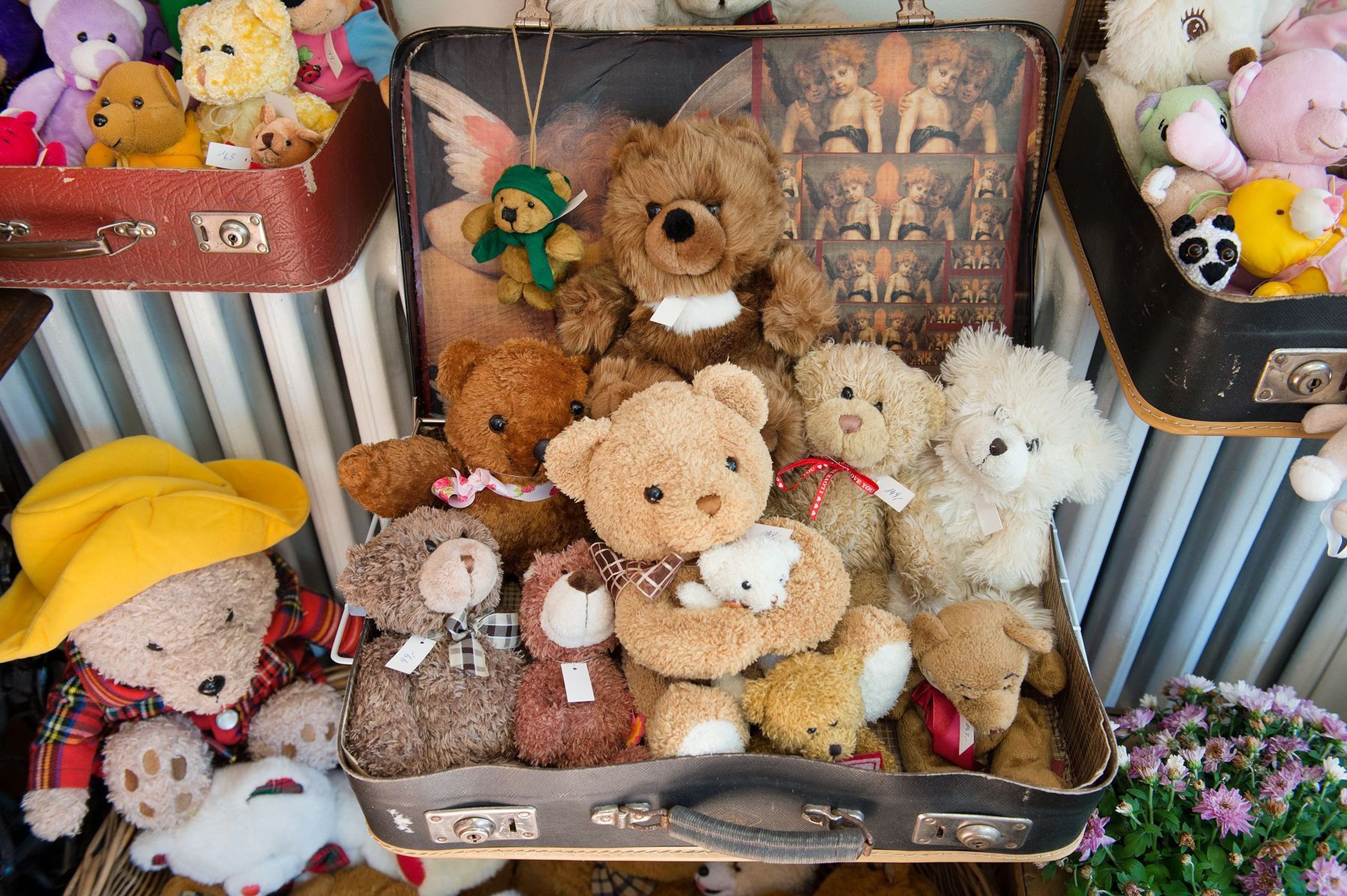 Medvědárium Praha - 11 - GALERIE: Medvědárium Praha (9/18)