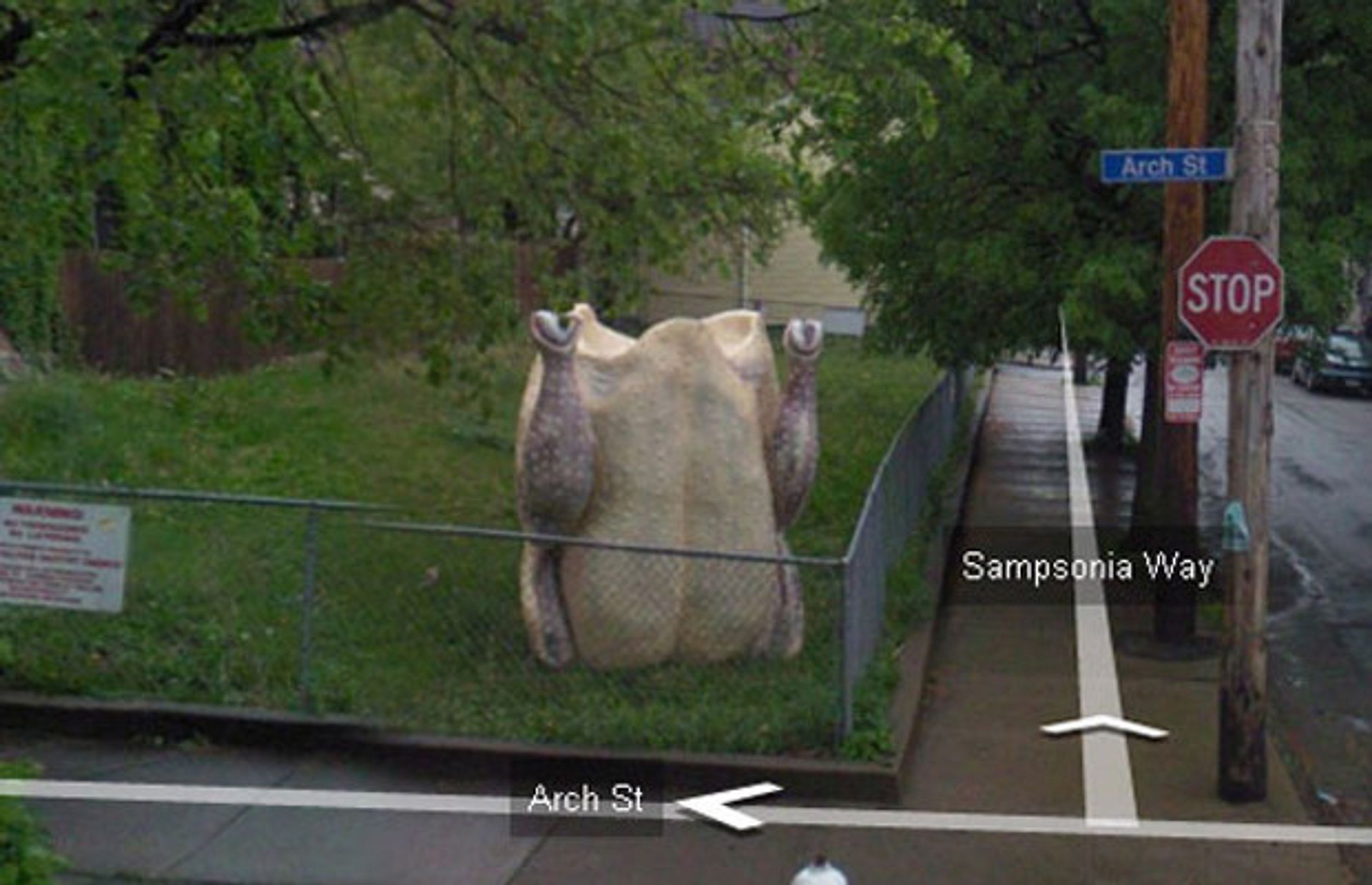 Fotky z Google Street View - 14 - Fotky z Google Street View (7/20)