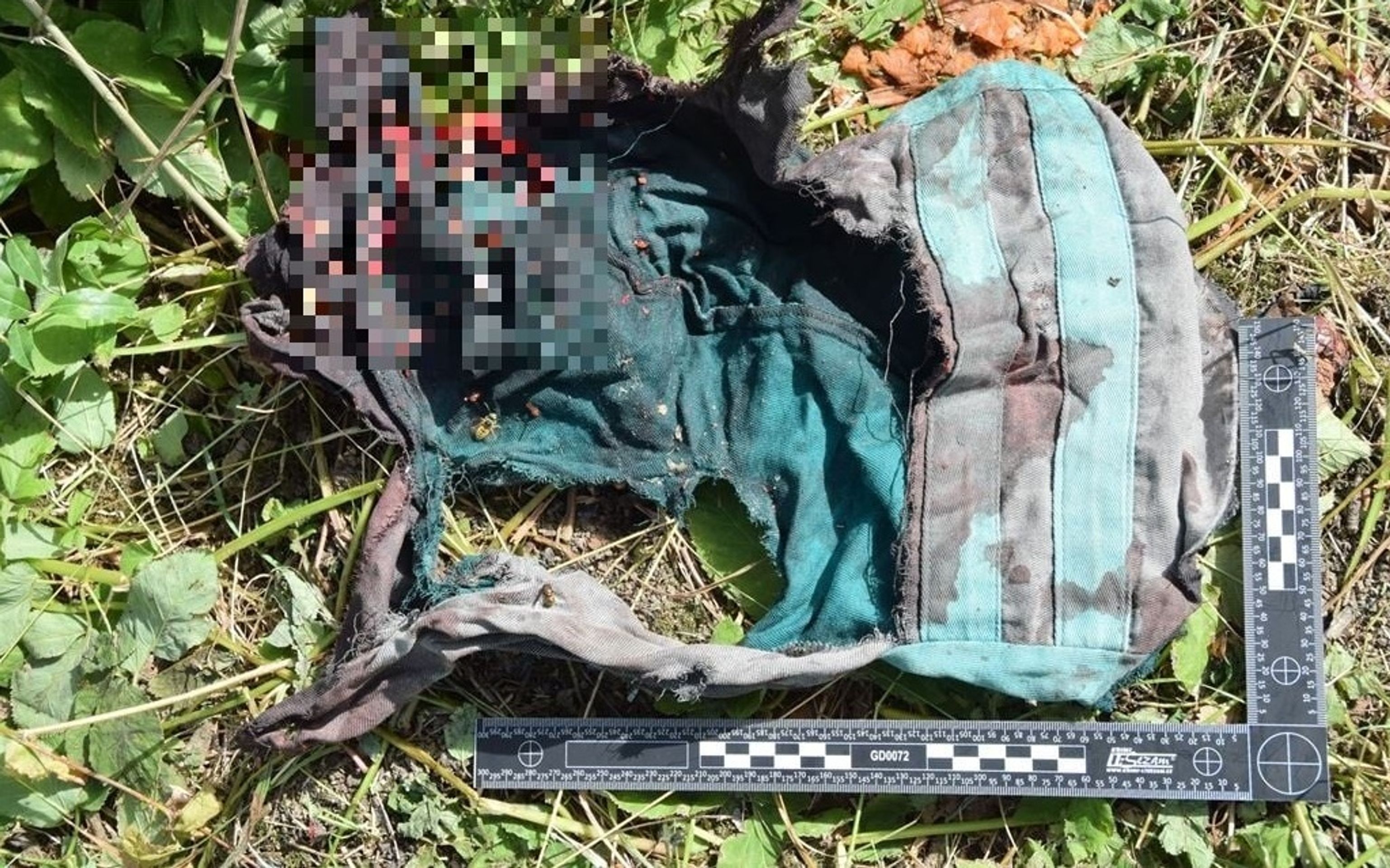 Psi zaútočili na slovenského důchodce - 3 - GALERIE: Muže napadli psi (5/6)