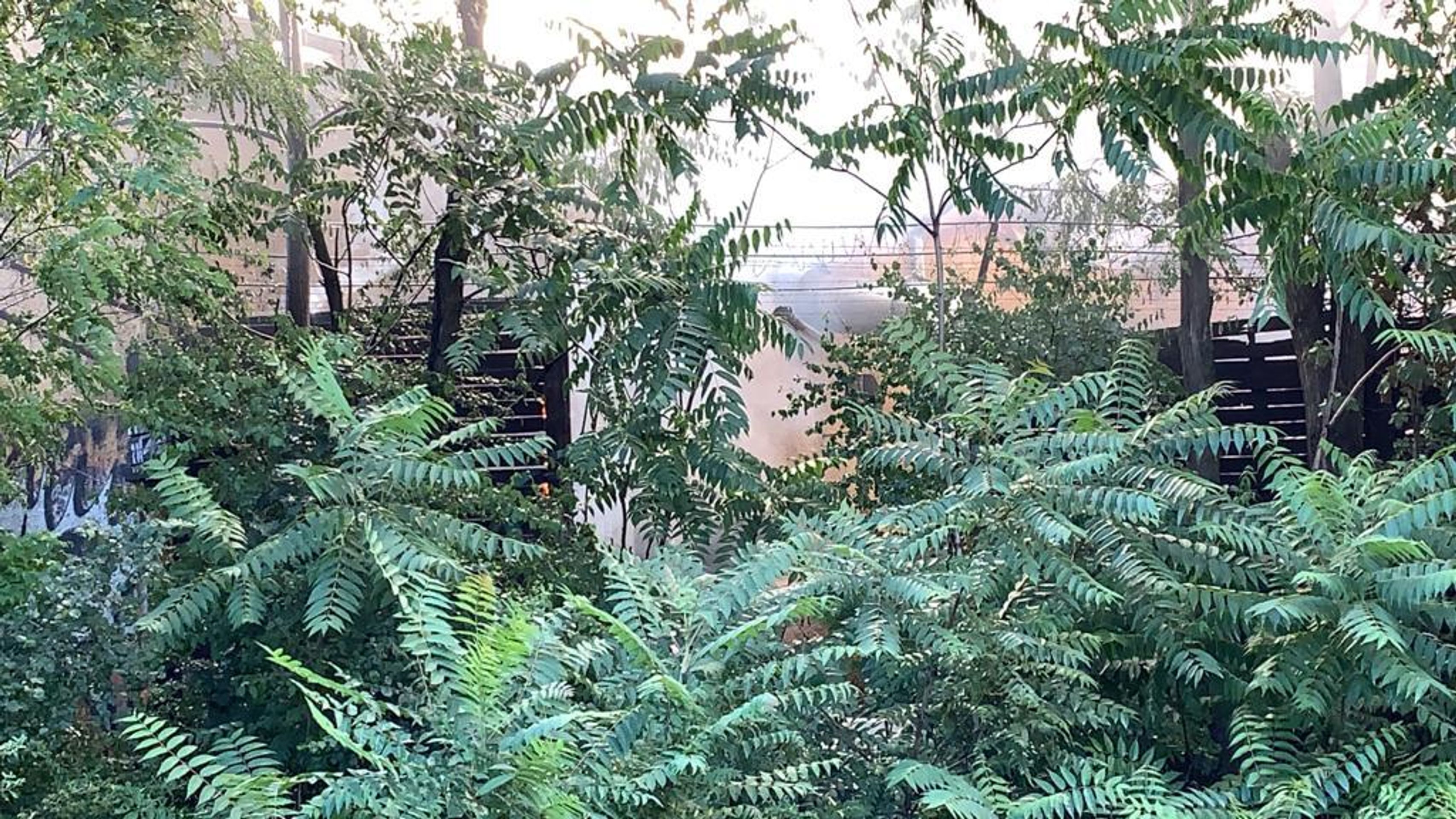 Požár pražského skladu - 3 - GALERIE: Požár skladu v Praze (14/16)
