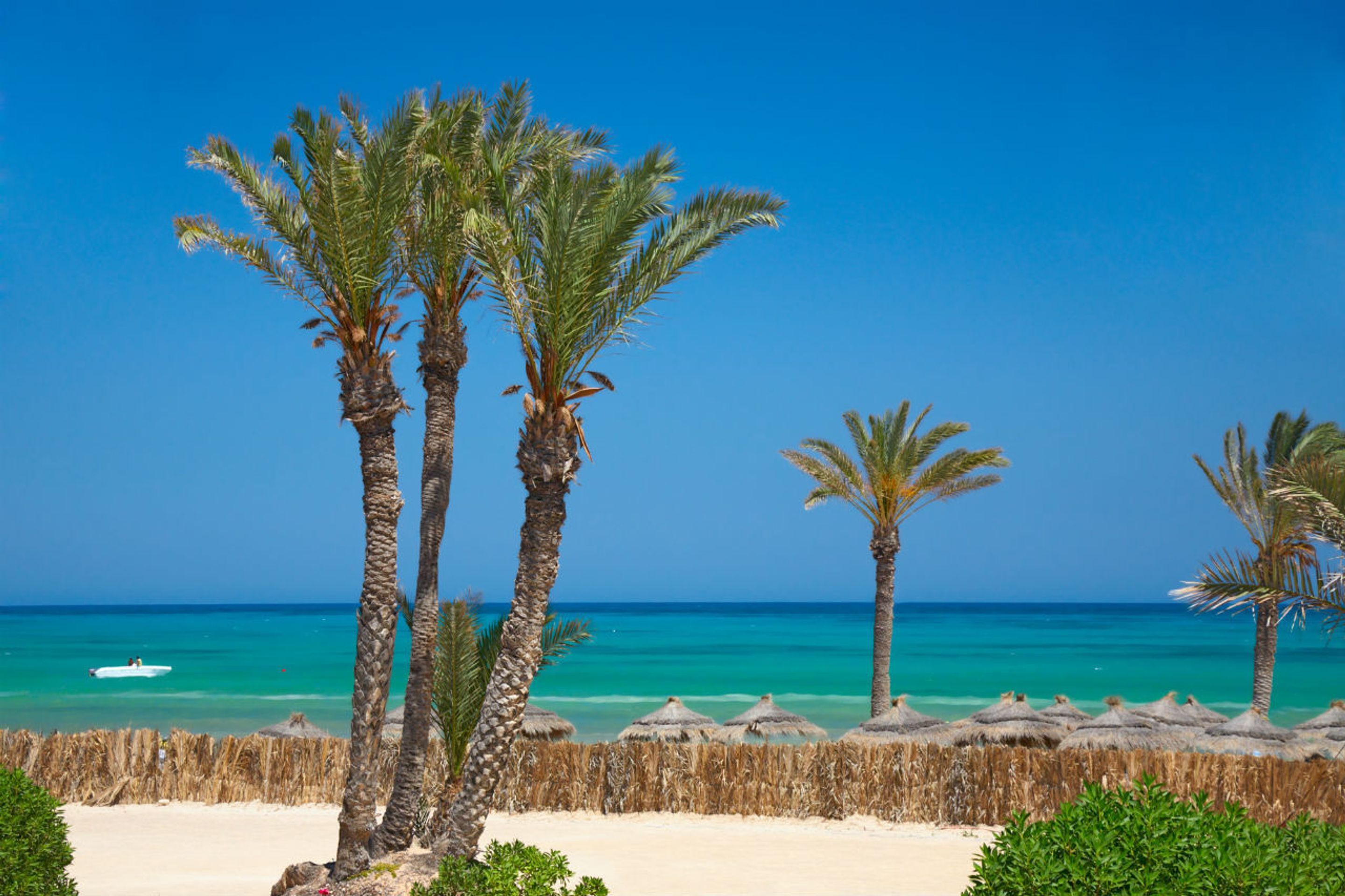Djerba - 9 - GALERIE: Hvězdné války a krmení krokodýlů. I to zažijete na Djerbě! (4/12)