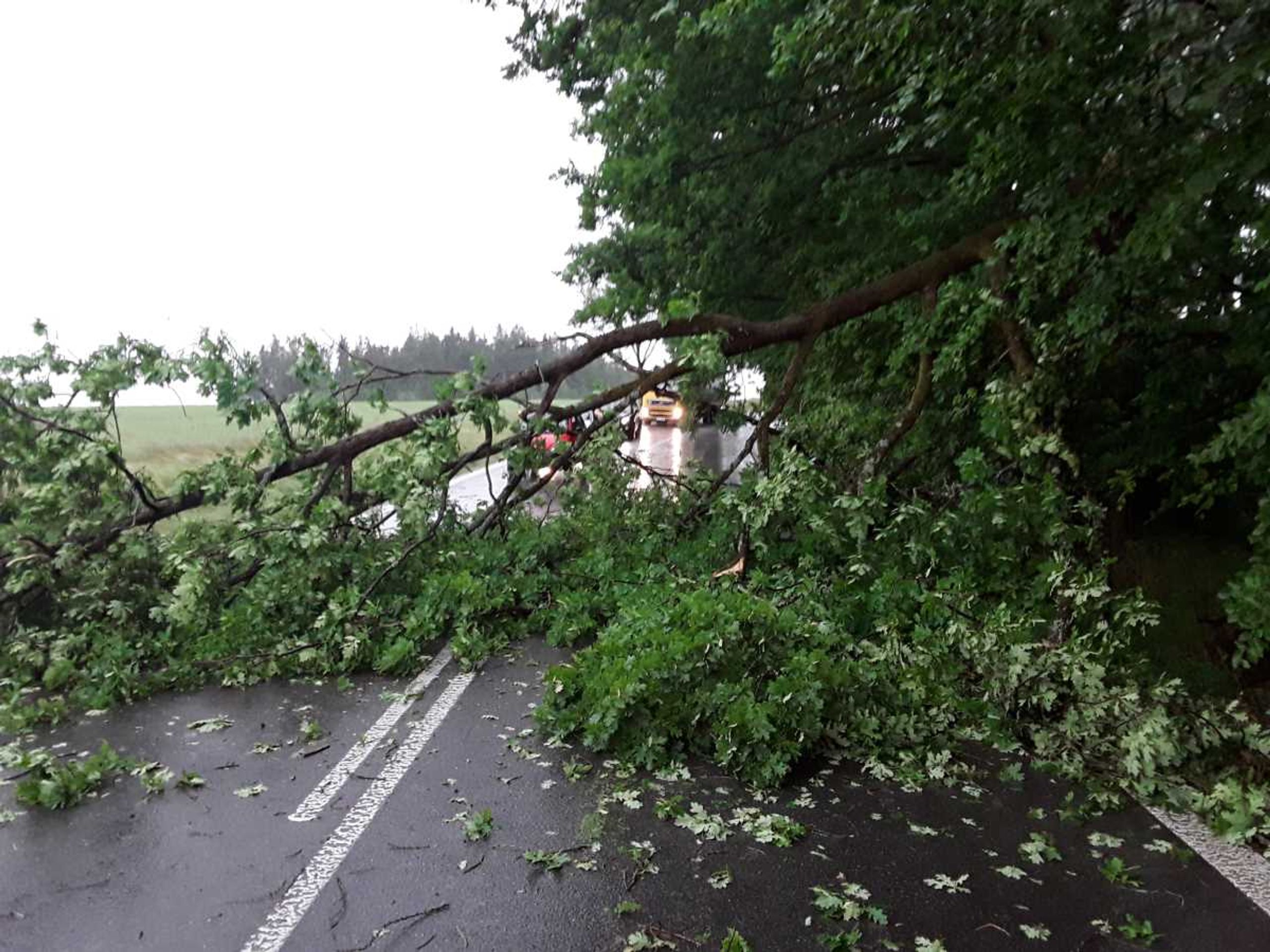 Bouřky na Vysočině - Následky bouřky a silného větru (7/21)