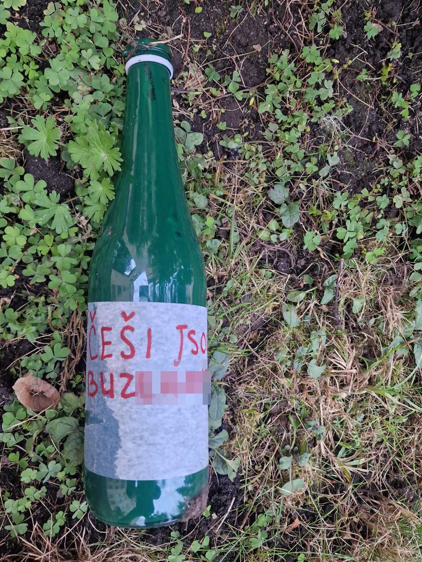 Česká ambasáda v Moskvě - Česká ambasáda v Moskvě (3/3)