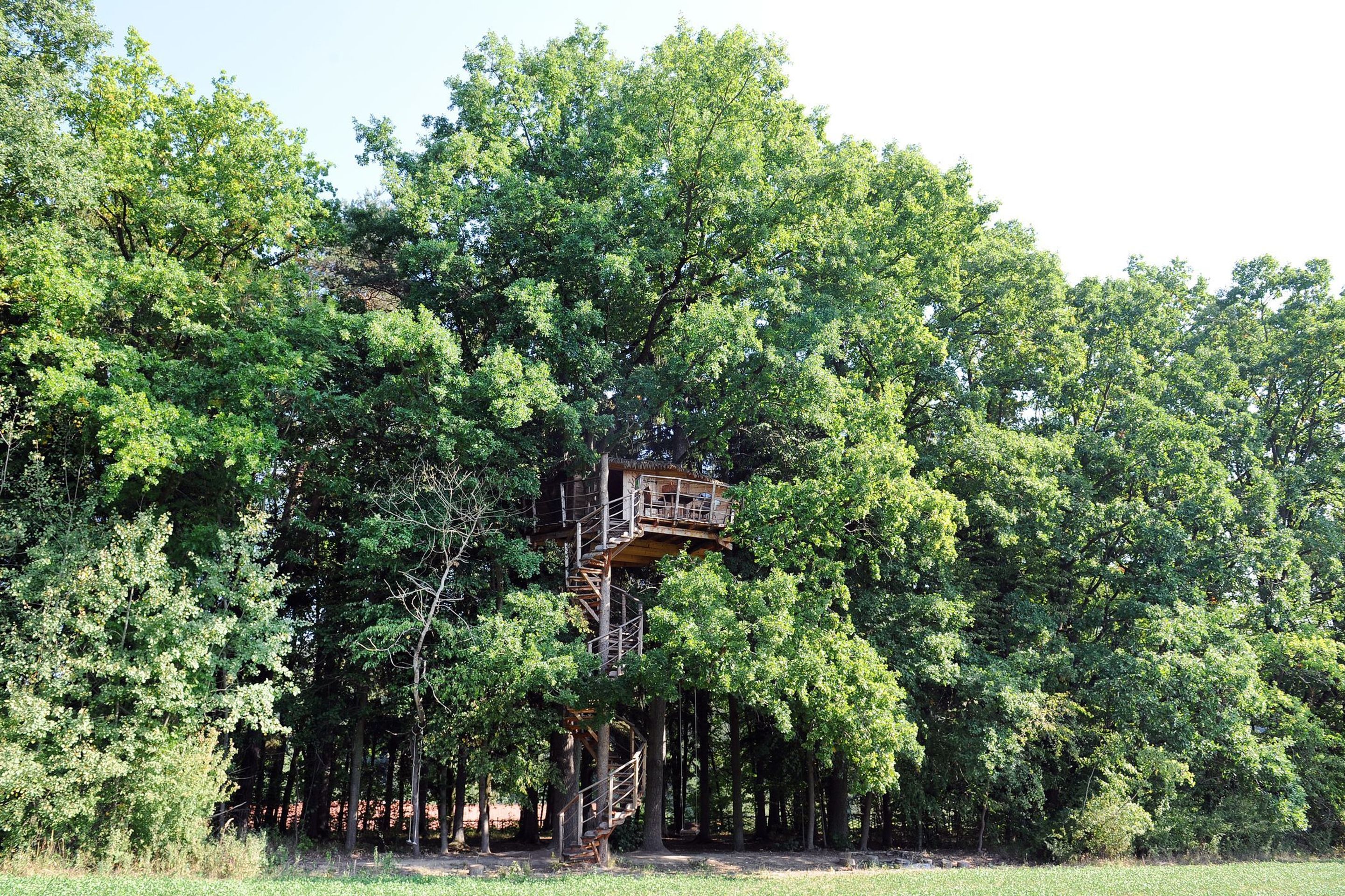 Tree house - 13 - GALERIE: Tree house (3/15)