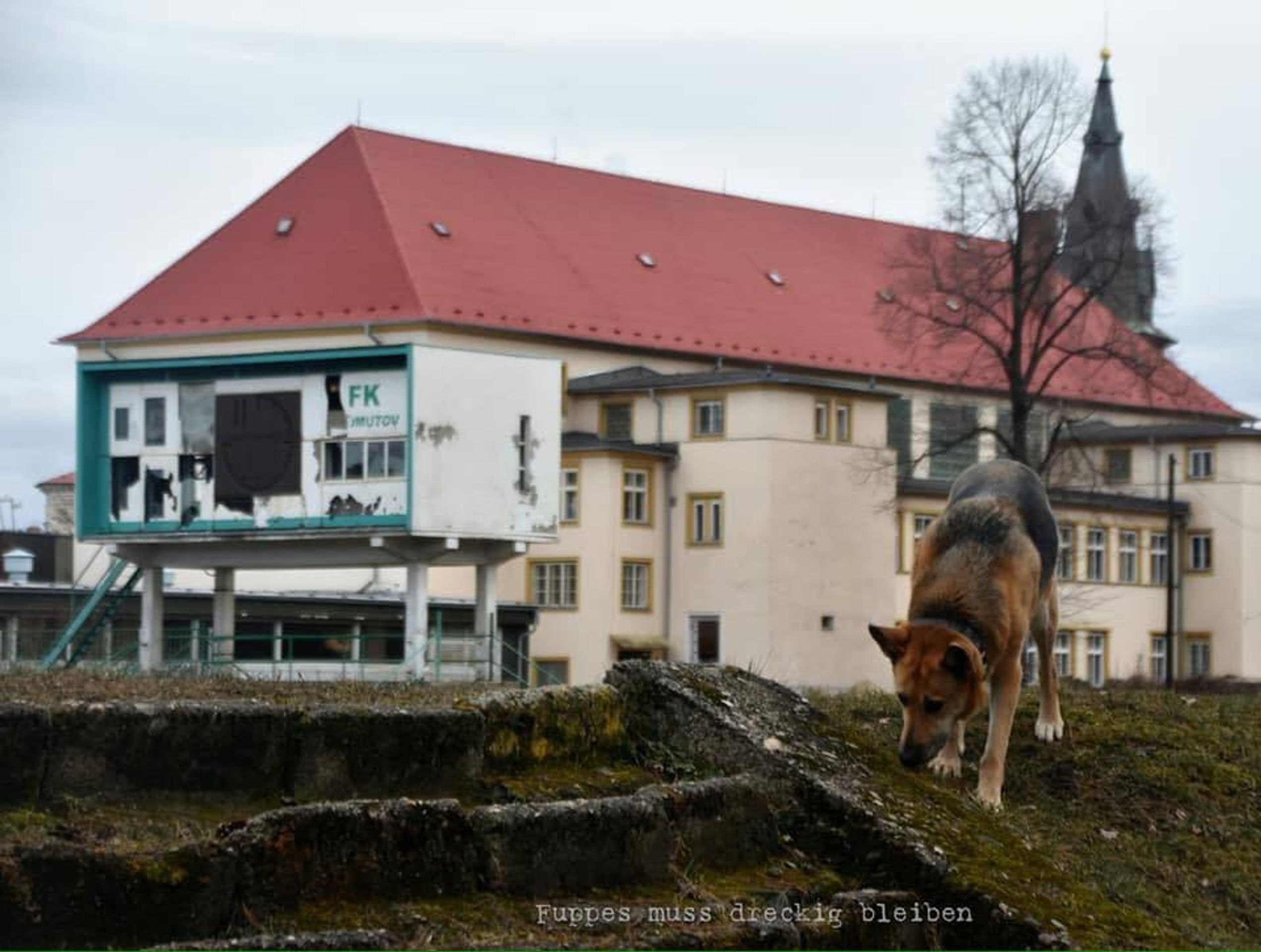 Opuštěný stadion v Chomutově - 6 - GALERIE: Opuštěný fotbalový stadion v Chomutově (6/14)