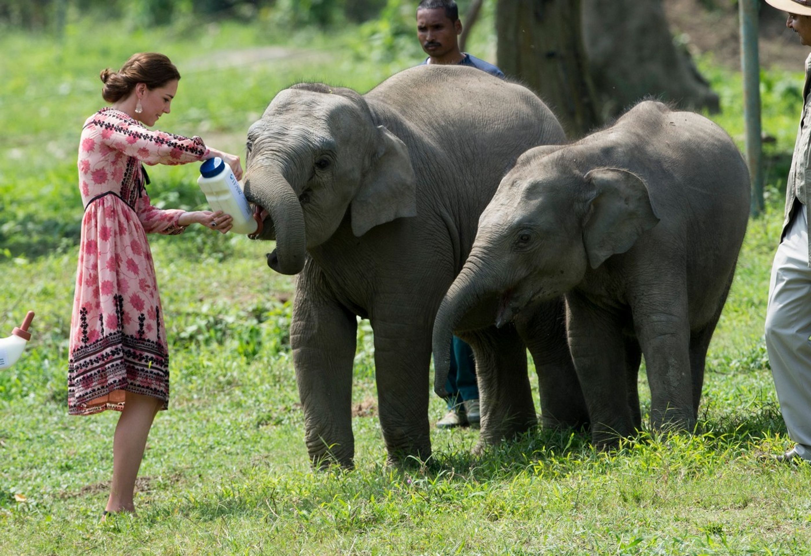 Kate a William v záchranné staniciIndii - 5 - GALERIE: Kate a William v záchranné stanici v Indii (5/6)