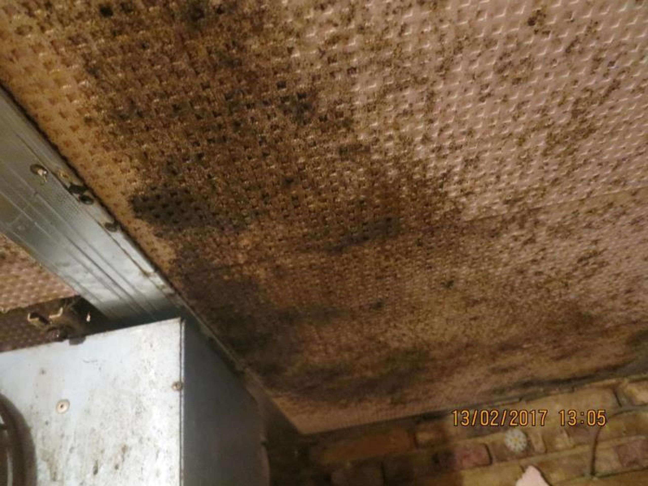 Uzavřené provozovny - Restaurace U Janatů - Milovice - 2 - GALERIE: Restaurace U Janatů - Milovice (7/8)