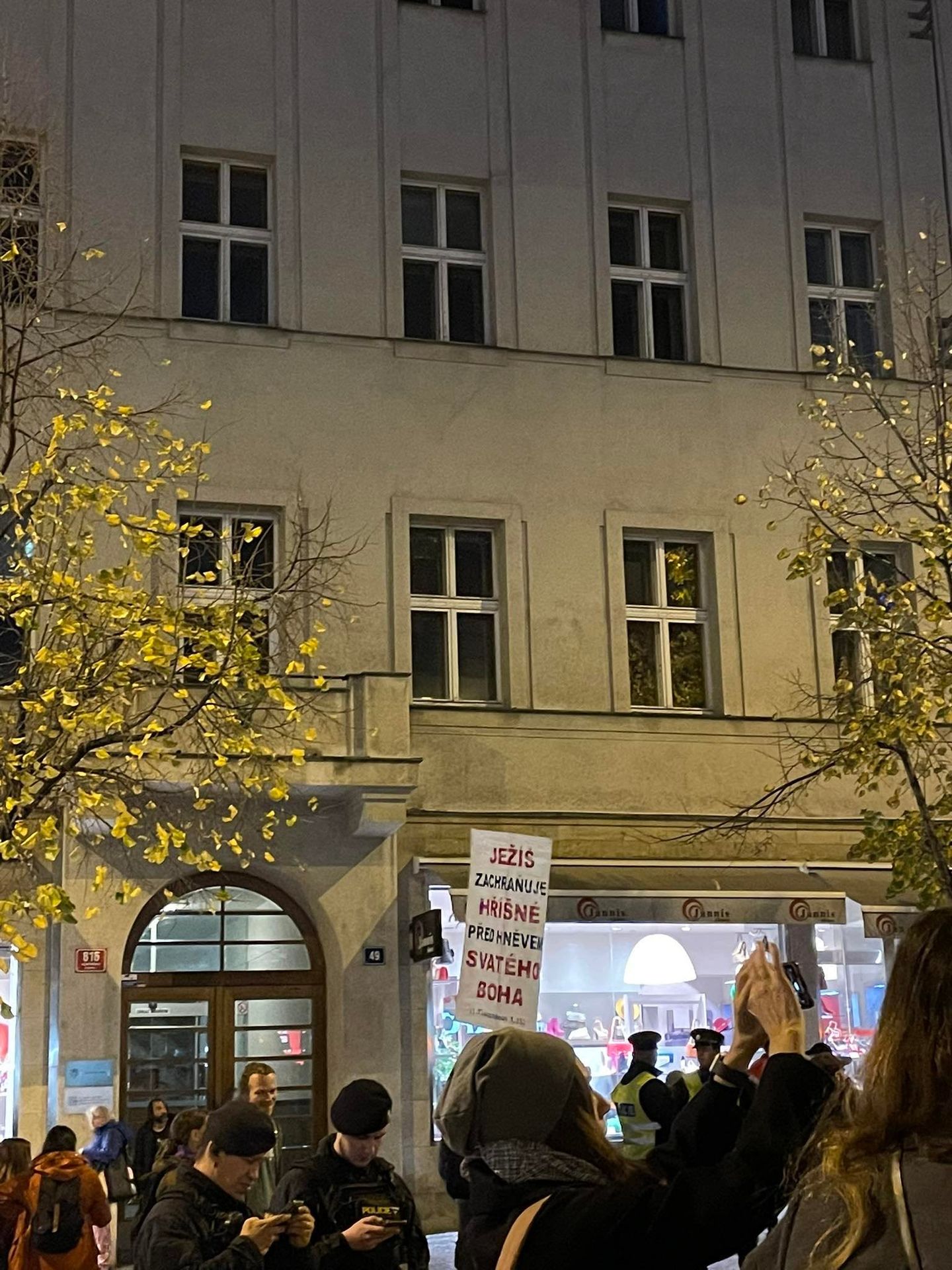 Shromáždění (2) - Shromáždění na Václavském náměstí (2/6)