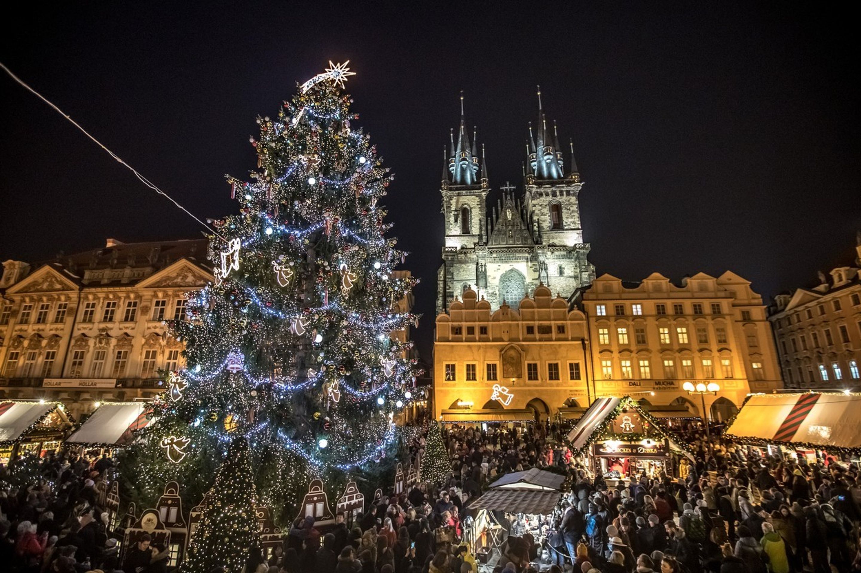 Vánoční stromky ve světě 2019 - 1 - GALERIE: Kde mají nejkrásnější vánoční stromeček? (2/9)