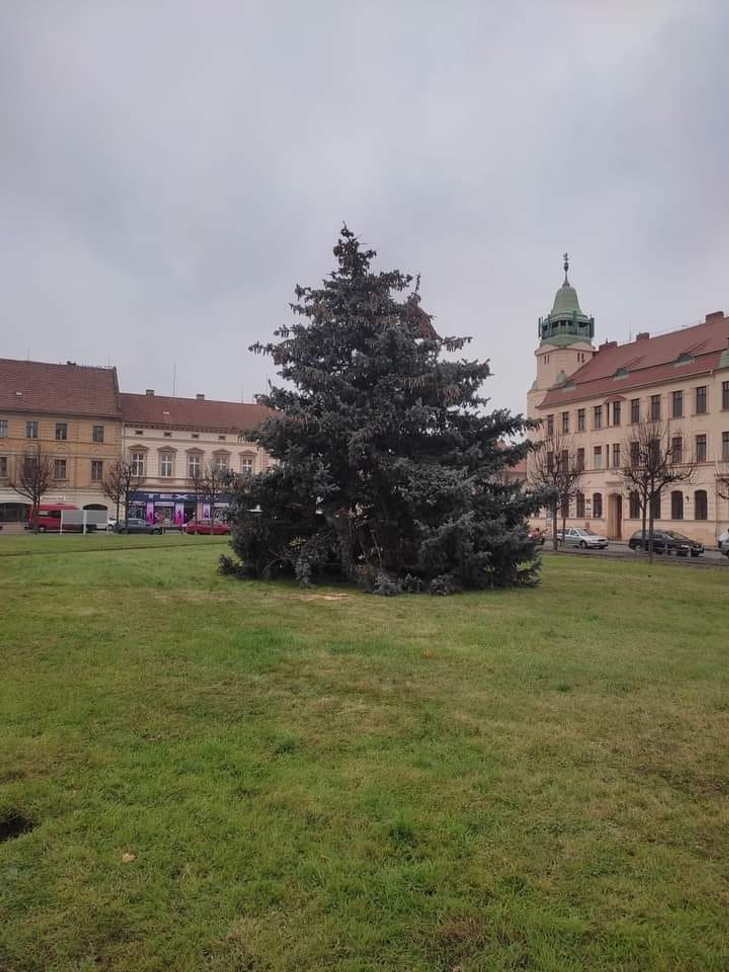 Vánoční stromek v Terezíně - Ošklivé vánoční stromky (6/11)