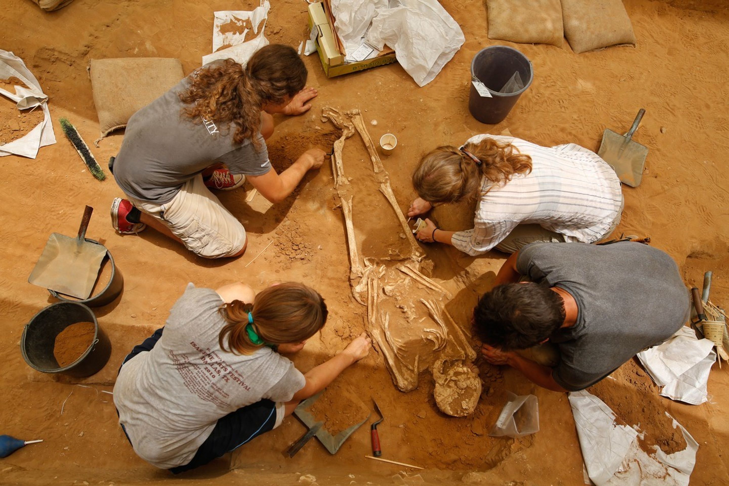Pohřebiště Filištínů v izraelském Aškelonu - 4 - GALERIE: Archeologové objevili pohřebiště Filištínů (4/5)