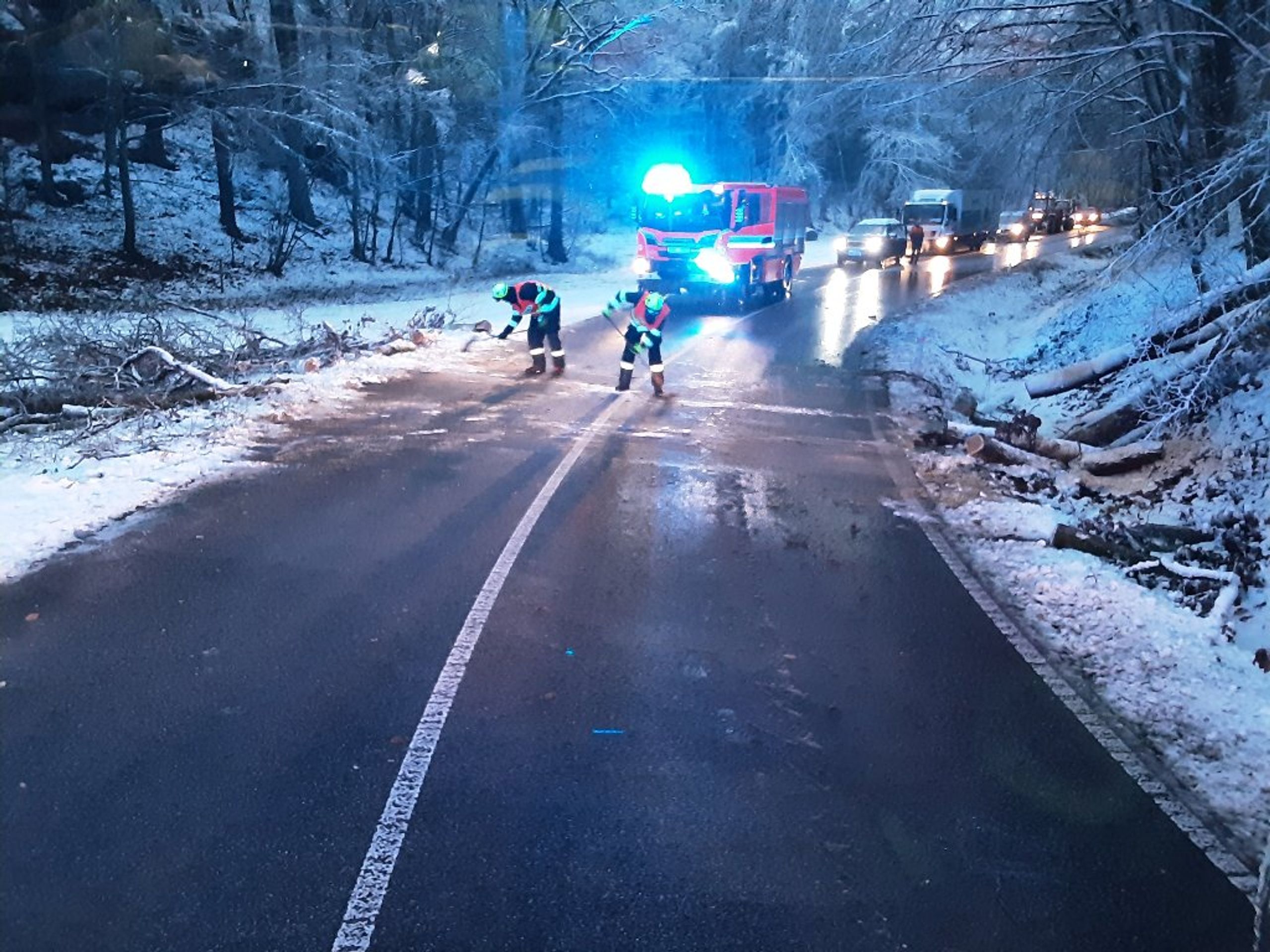 Zásah k popadaným stromům a větvím v Libereckém kraji (4) - Počasí komplikuje dopravu v Česku. Hasiči řeší popadané stromy (2/15)