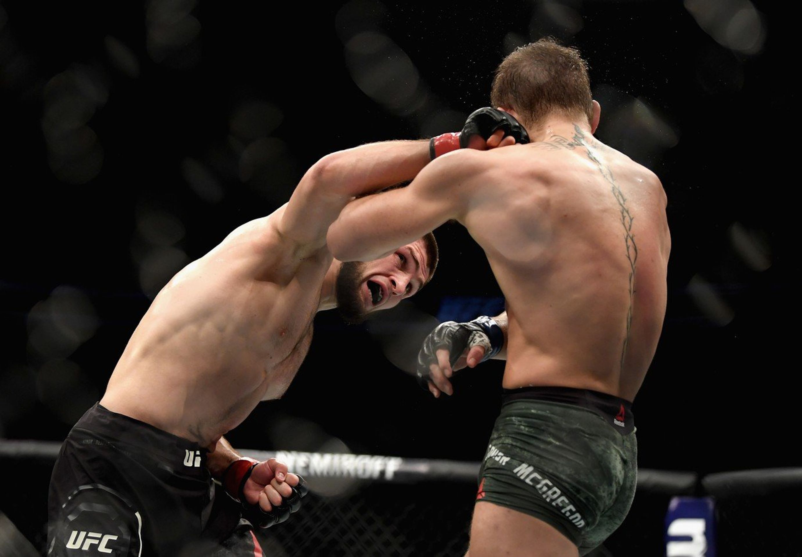 Conor McGregor - GALERIE: Takto vypadal McGregor před a po zápase s Khabibem (5/9)