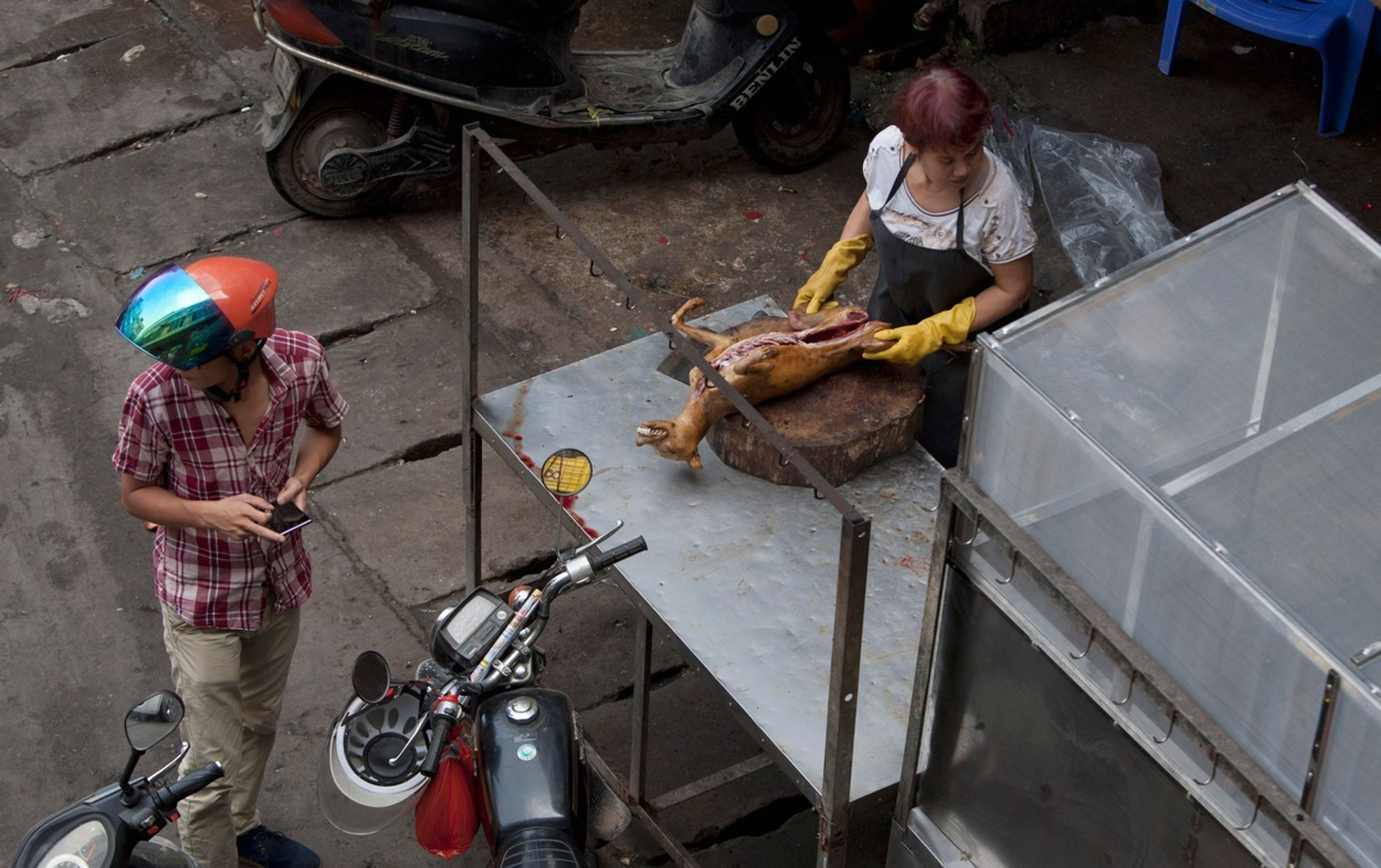 Pojídání psů na festivalu Yulin 2015 - 9 - GALERIE: Pojídání psů na festivalu Yulin 2015 (5/11)