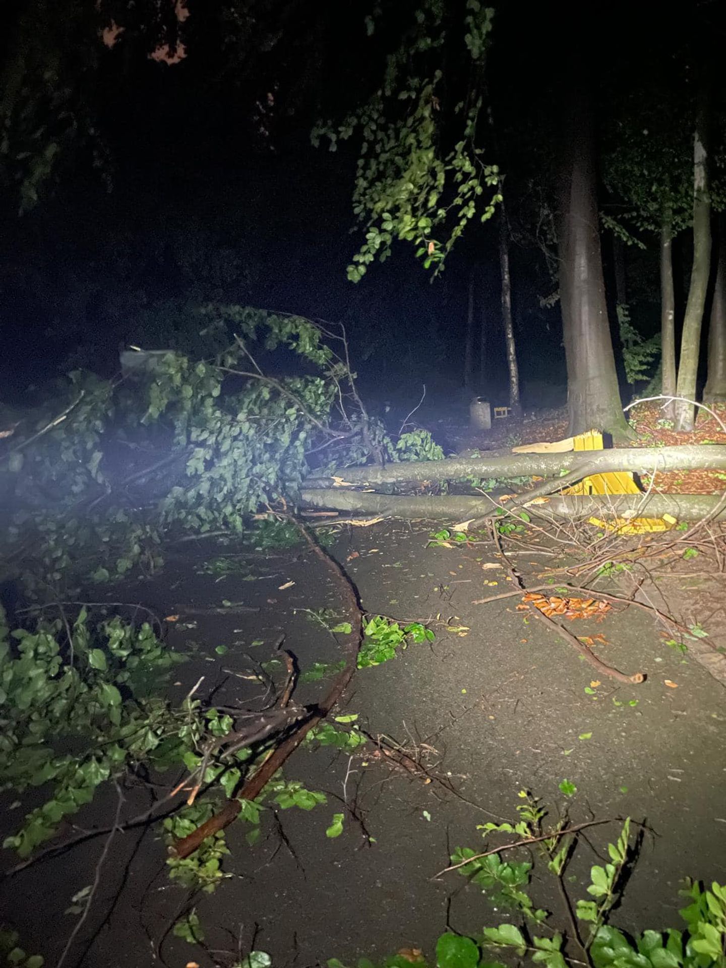 Spoušť v ostravské zoo - Následky bouřek (29/29)