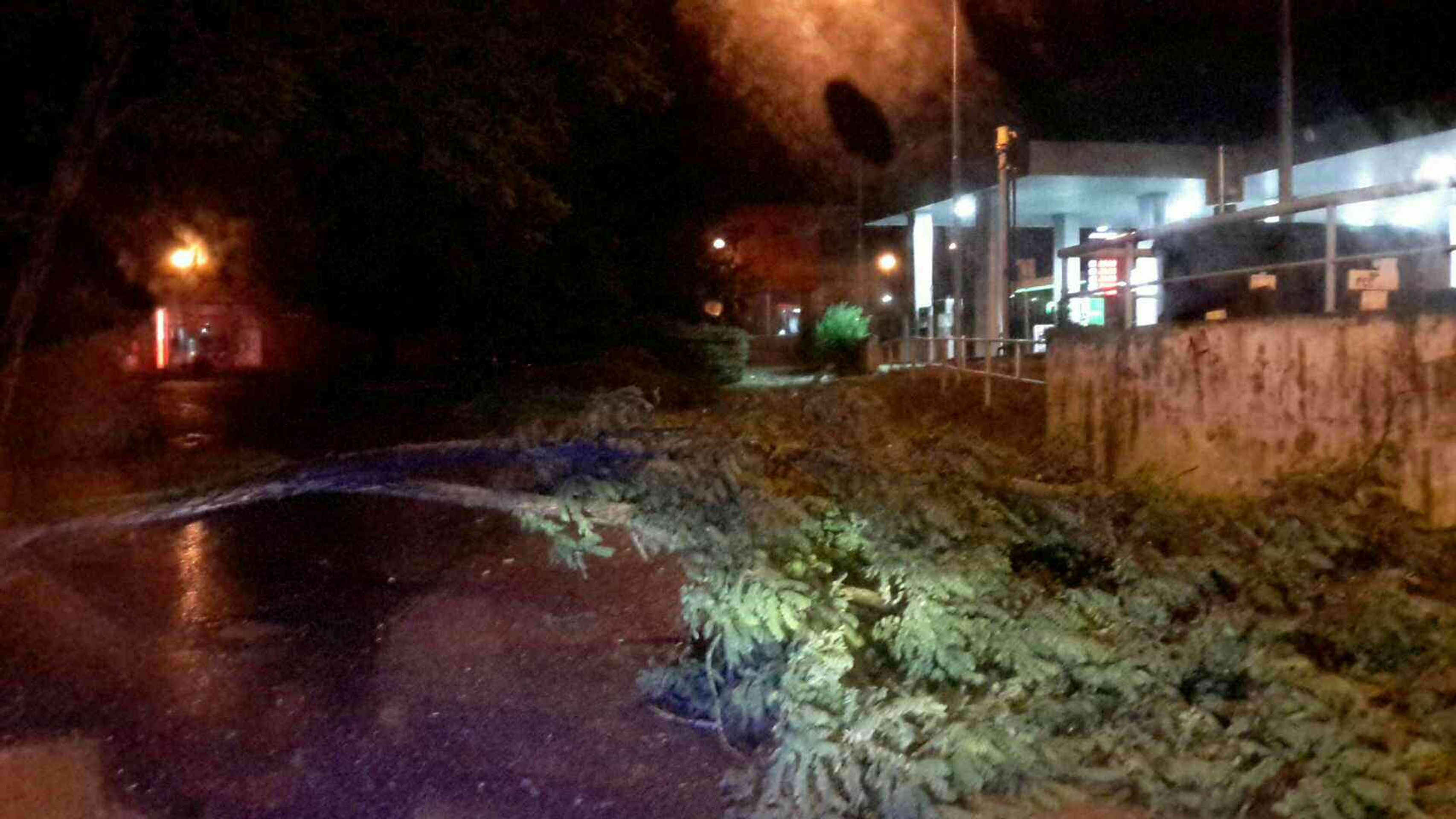 Následky bouřek - 4 - GALERIE: Následky bouřek a silného větru (1/5)