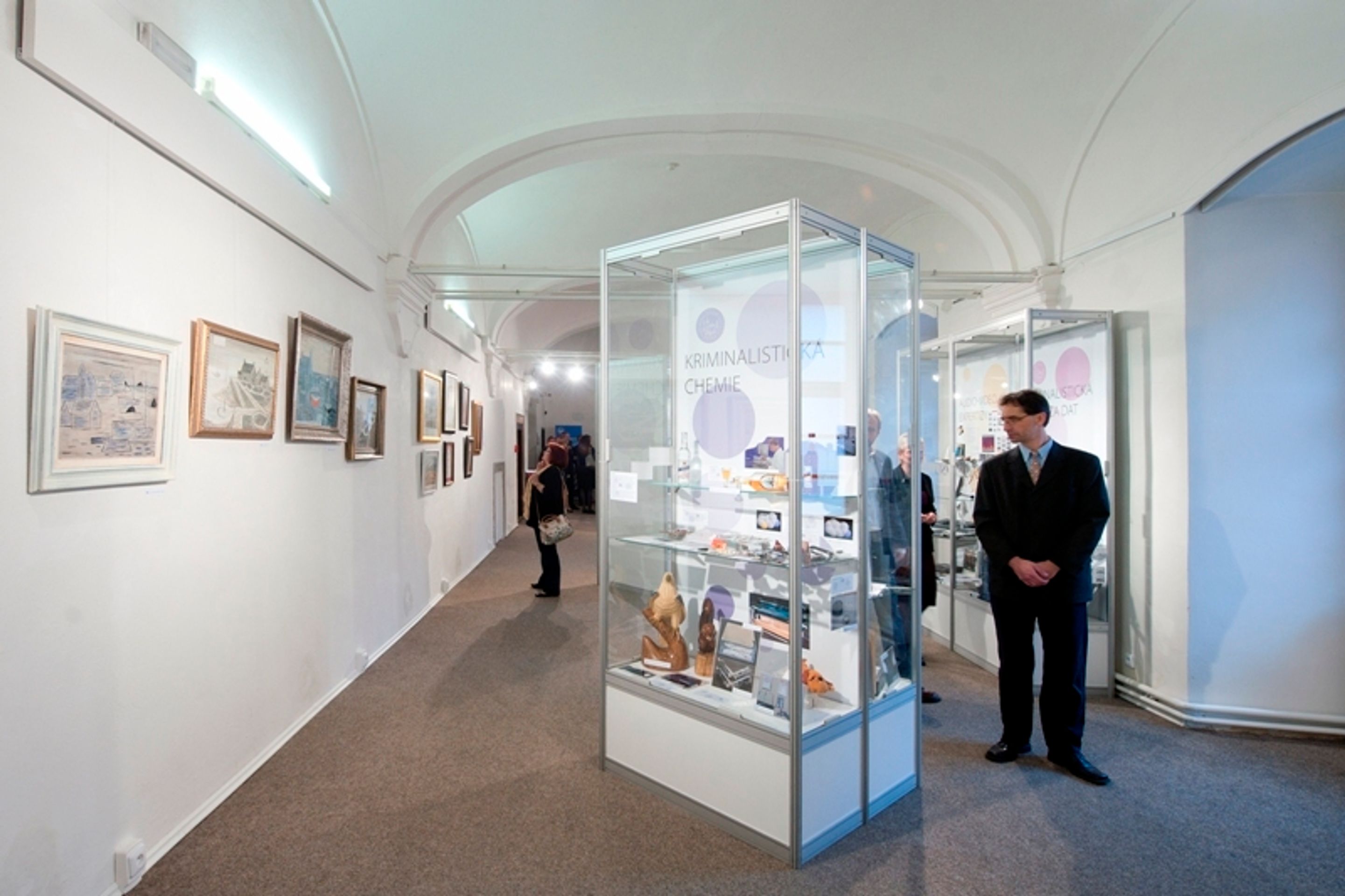 Výstava padělků, zbraní i výbušnin - 26 - GALERIE: Výstava padělků, zbraní i výbušnin (4/29)