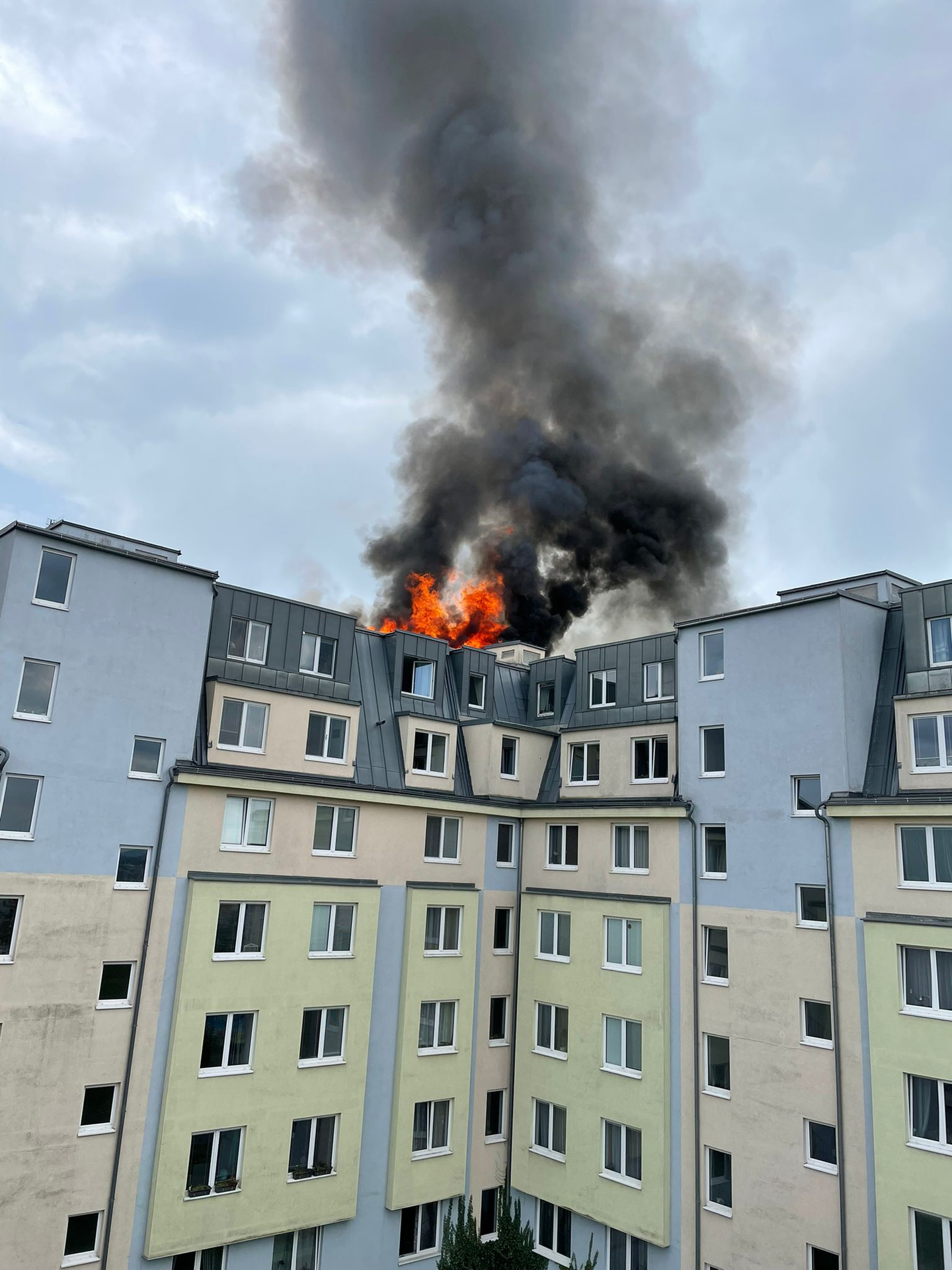 Požár bytu v Praze - Požár bytu v Praze (9/9)