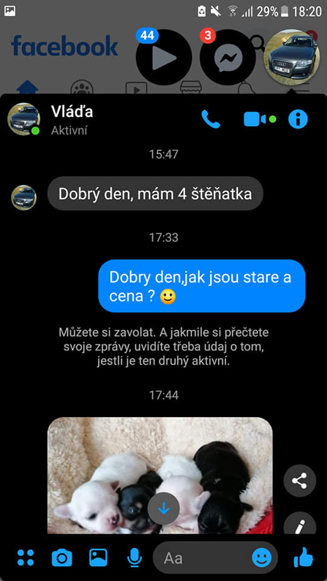 Chtěla koupit štěně - on žádal sex - GALERIE: Chtěla koupit štěně, podvodník žádal sex (1/4)