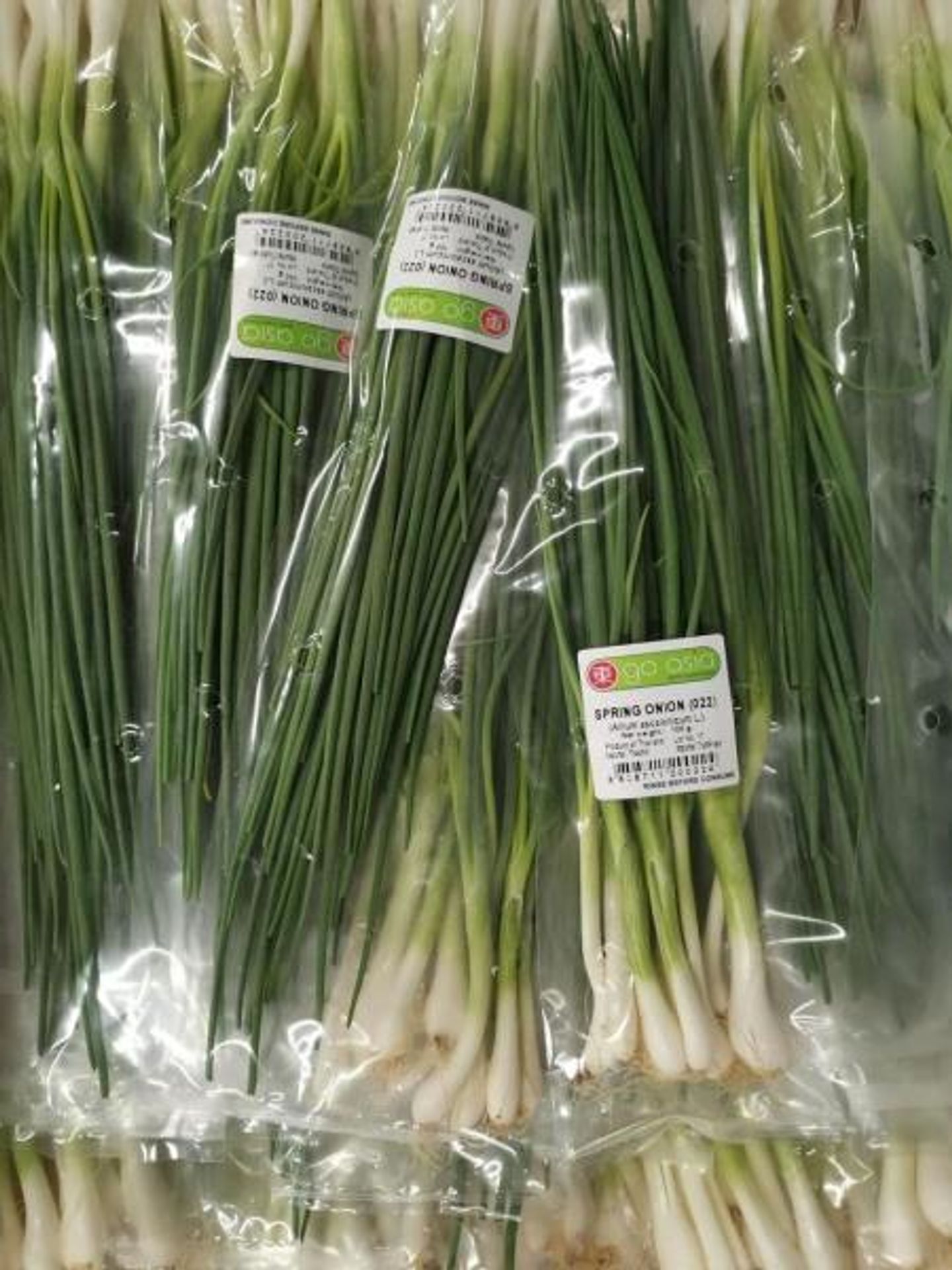 SPRING ONION (022); (Allium ascalonicum L.) - Závadné potraviny (5/7)