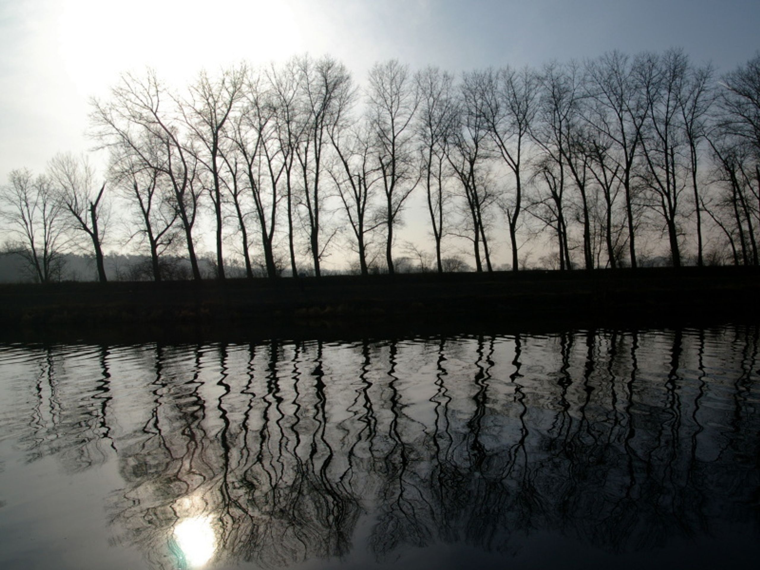Labe - GALERIE Labe (3/6)